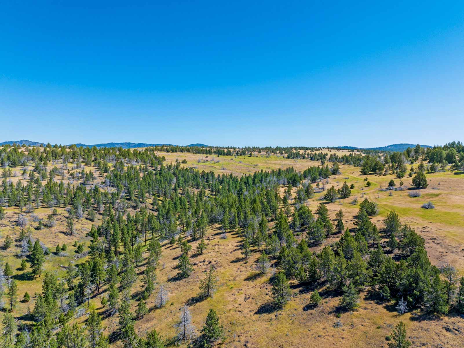 Little Beech Creek North property picture 3 of 56