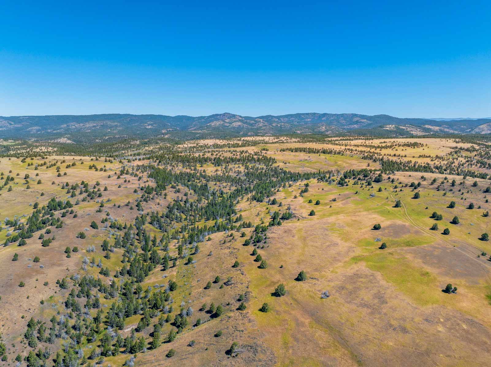 Little Beech Creek North property picture 48 of 56