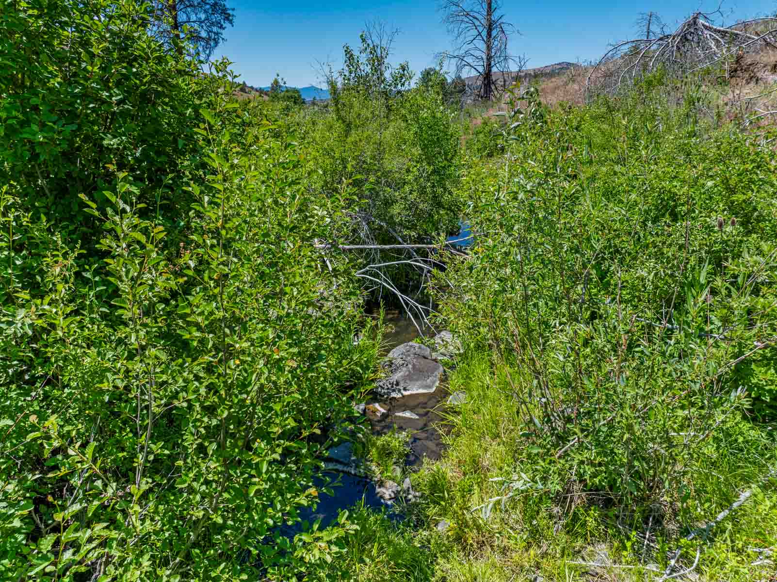 Little Beech Creek North property picture 18 of 56