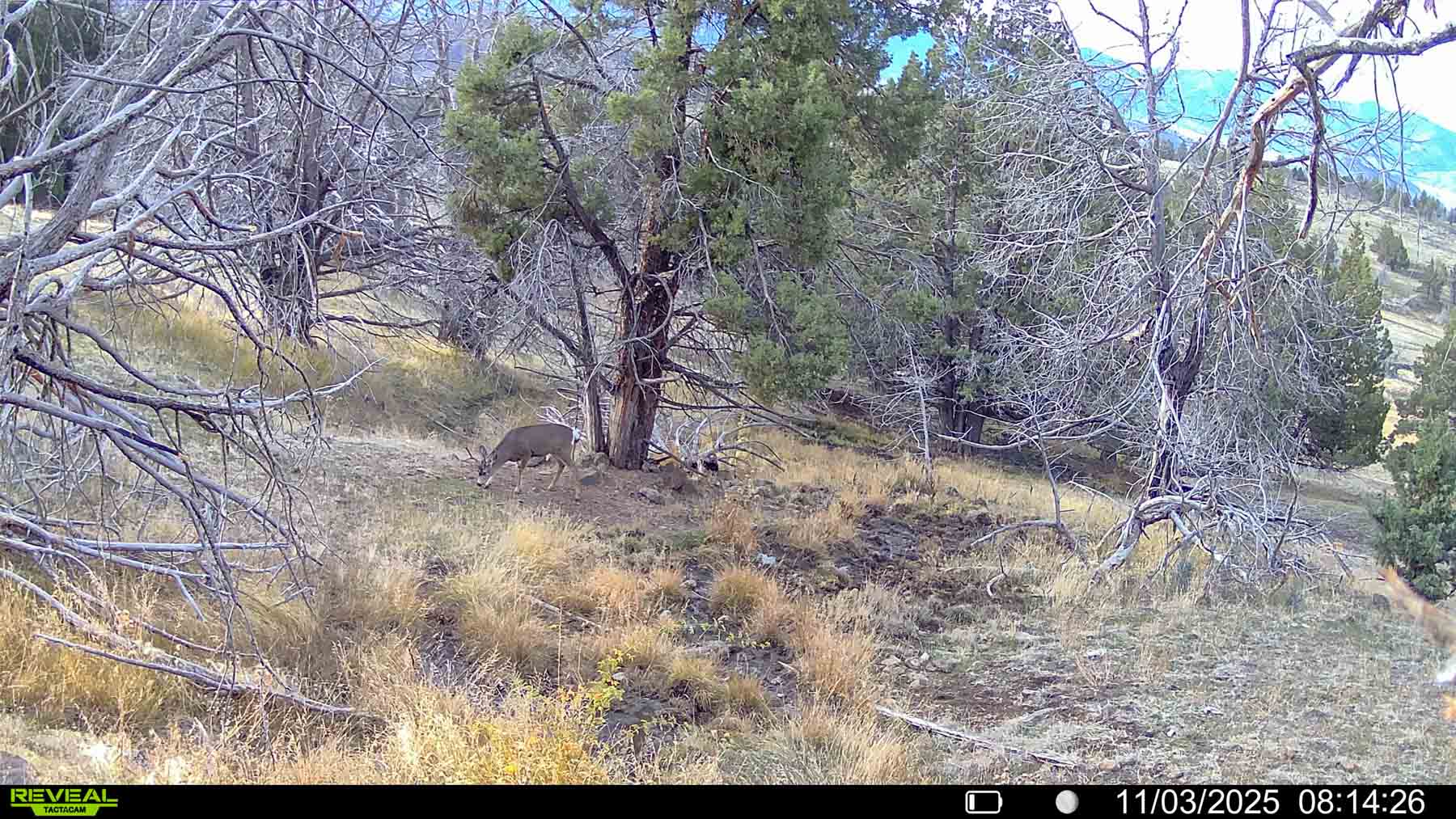 Little Beech Creek North property picture 31 of 56