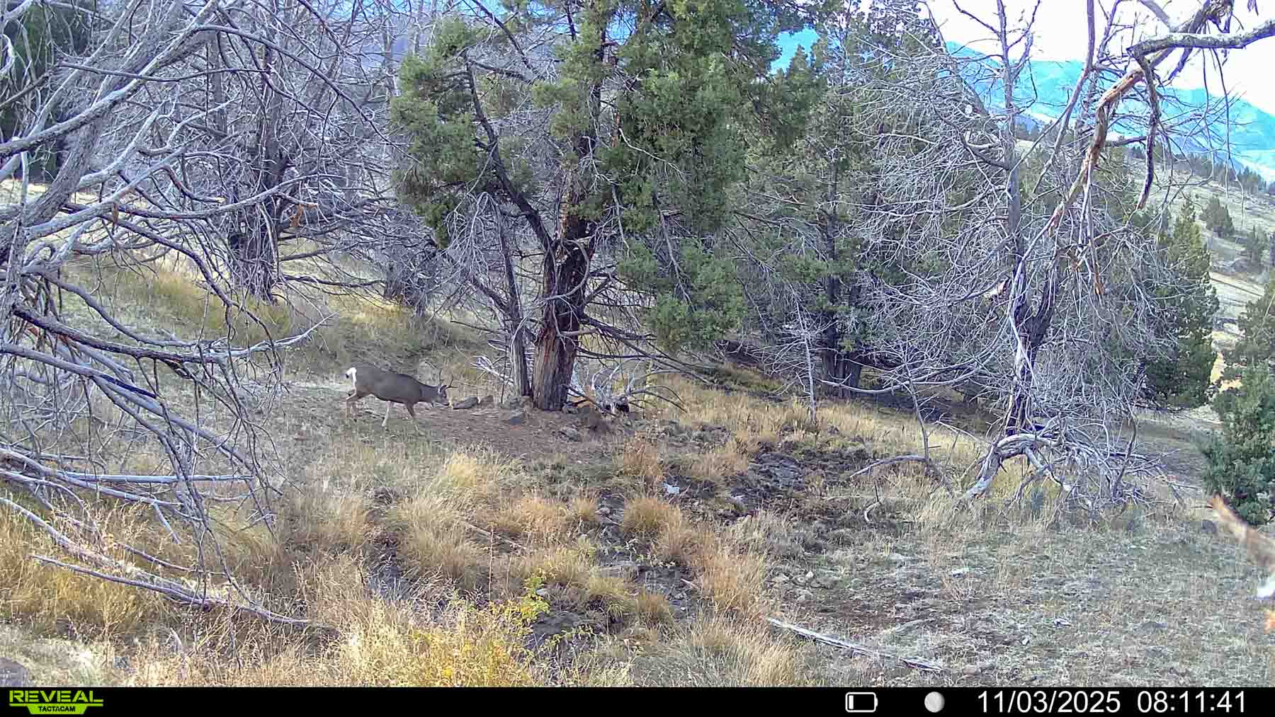Little Beech Creek North property picture 30 of 56