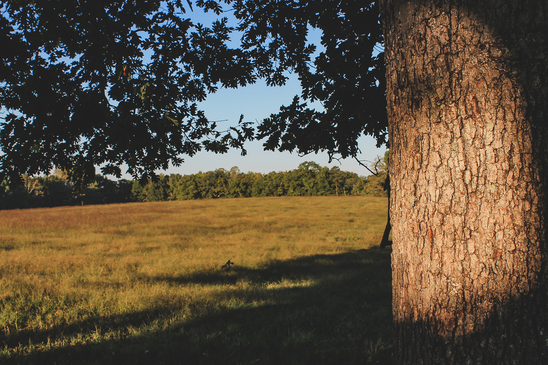 Oakwater Farm property picture 31 of 41