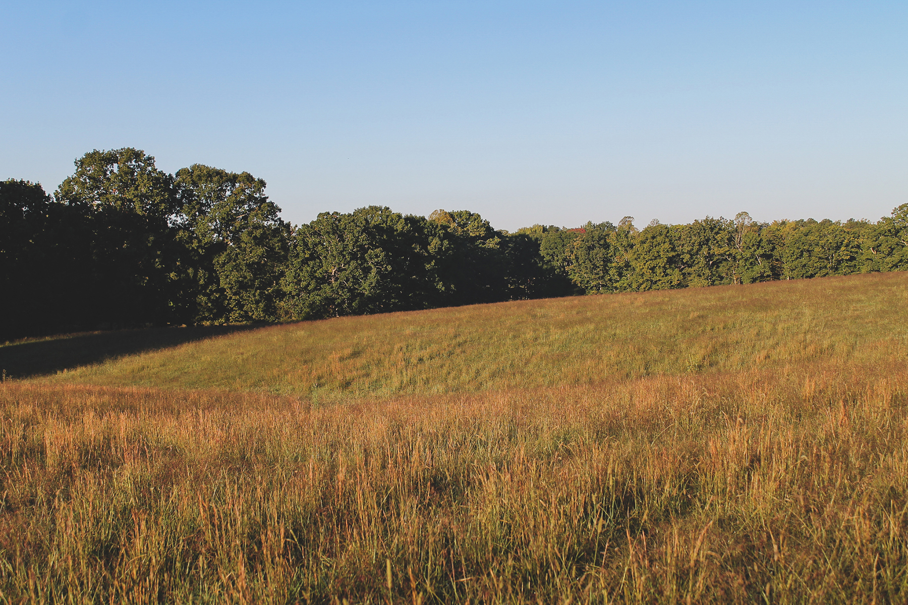 Oakwater Farm property picture 36 of 41