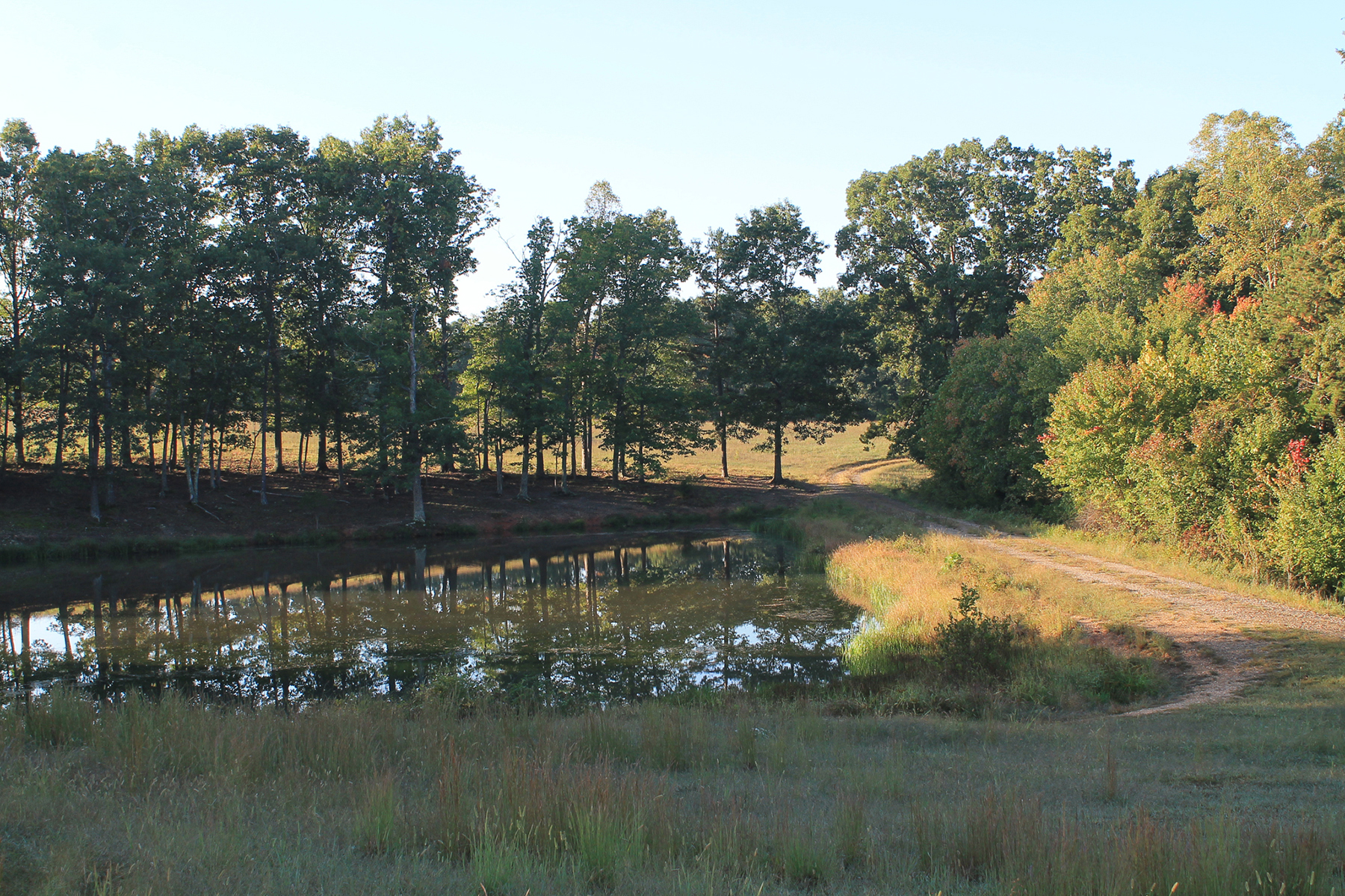 Oakwater Farm property picture 34 of 41