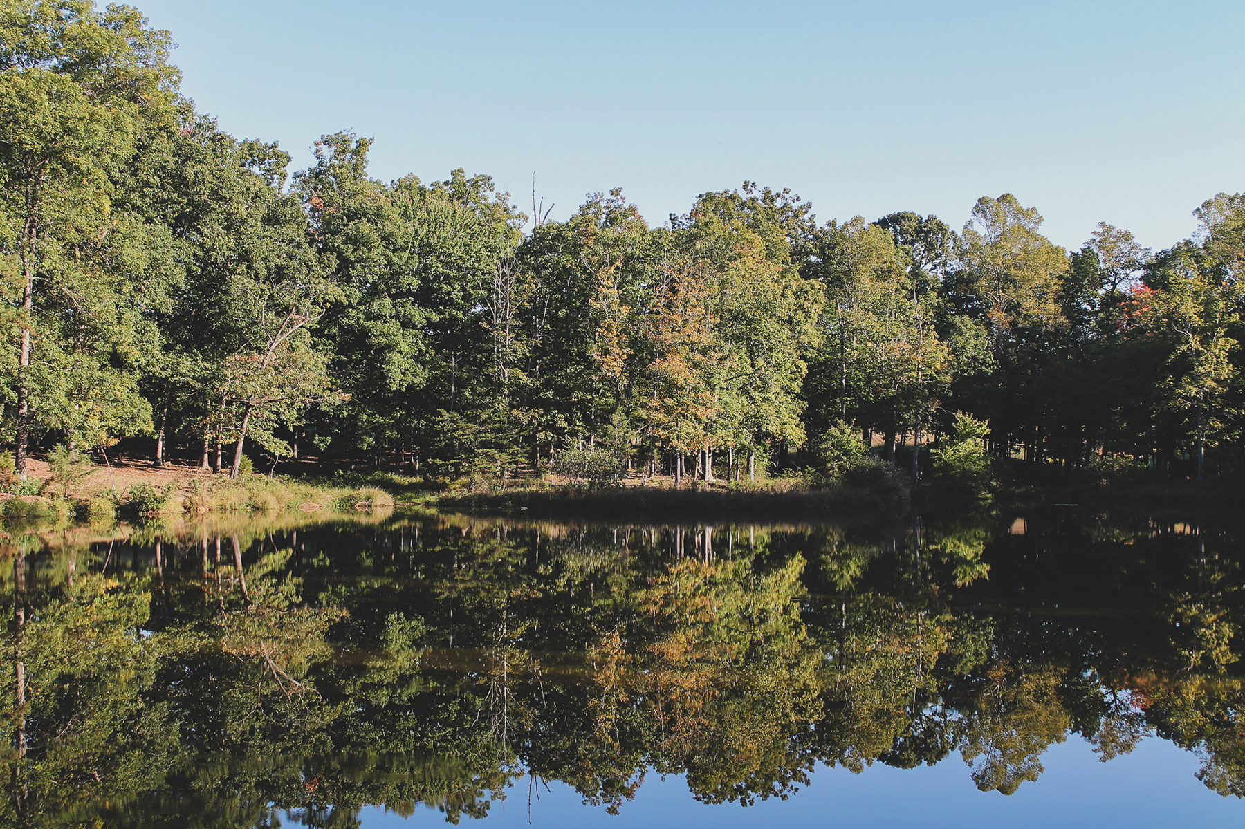 Oakwater Farm property picture 39 of 41