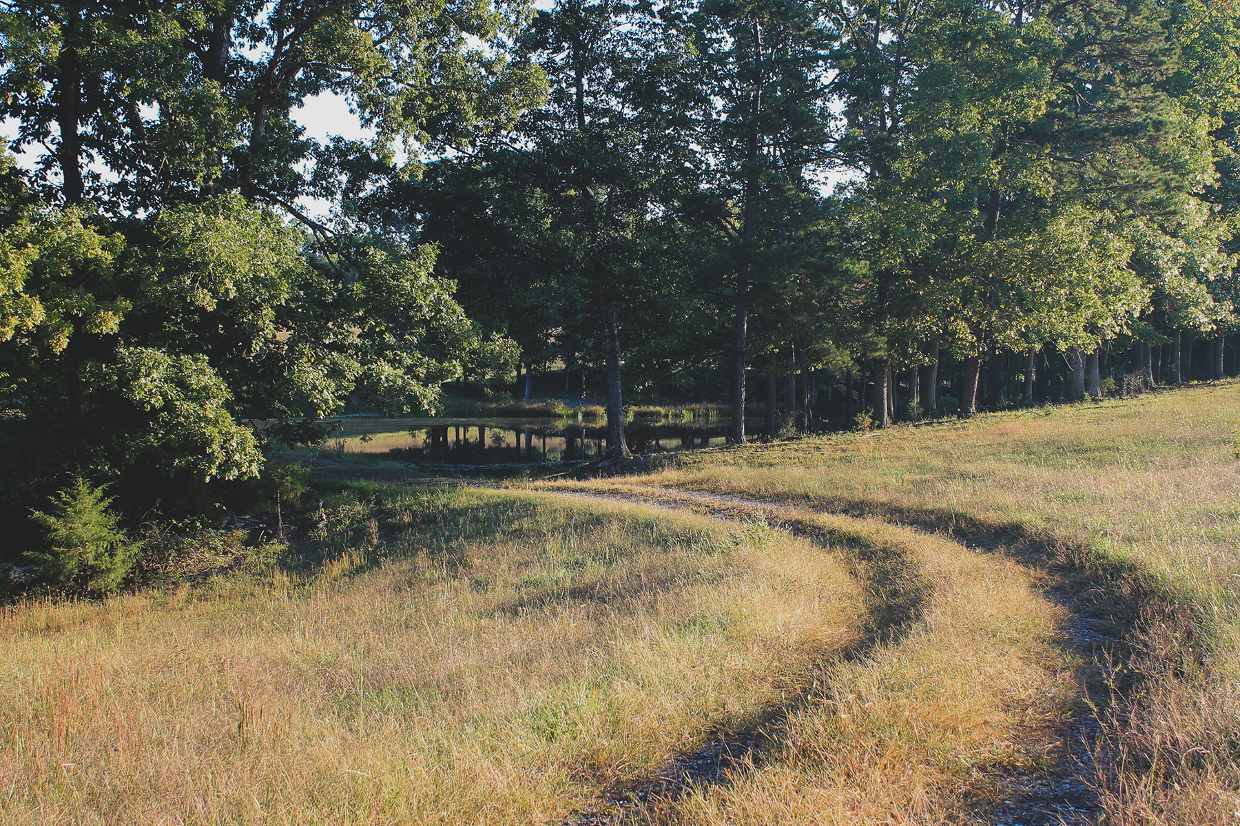 Oakwater Farm property picture 28 of 41