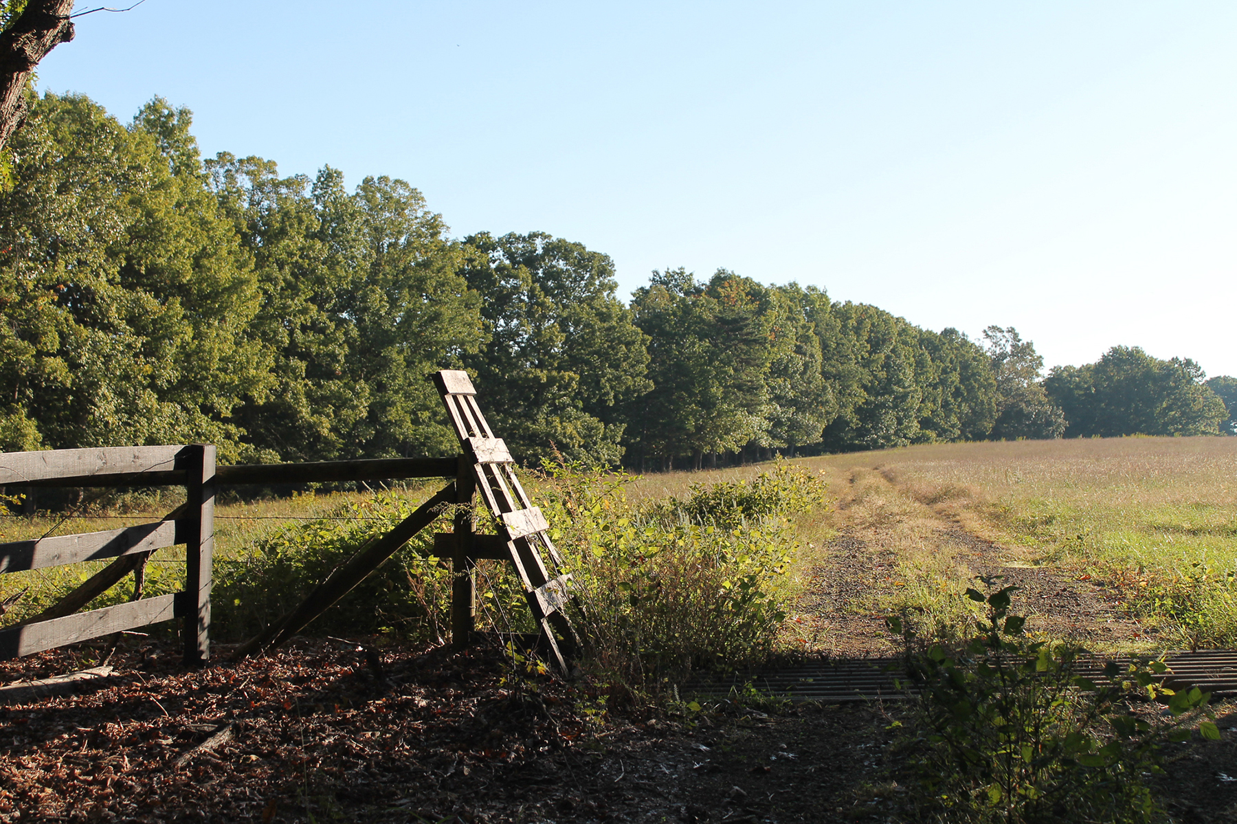 Oakwater Farm property picture 29 of 41