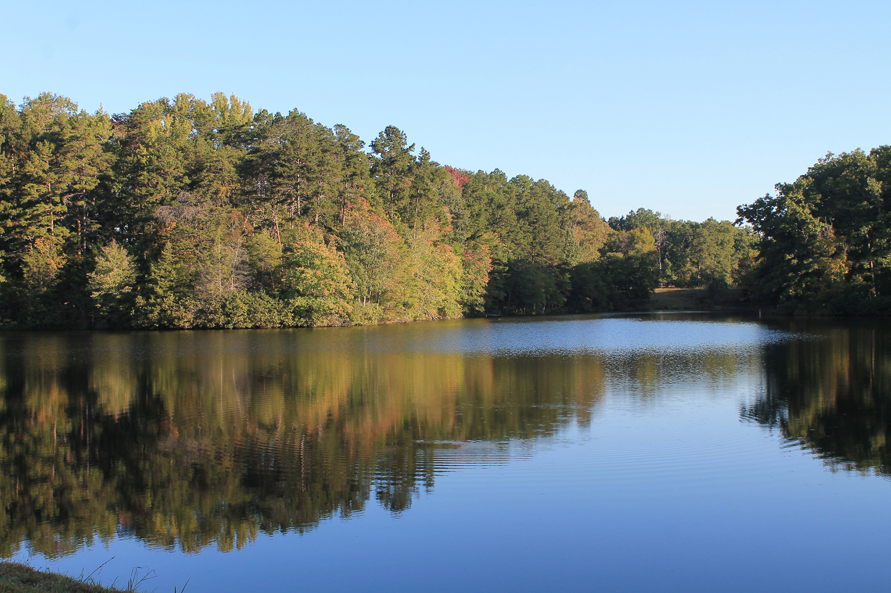 Oakwater Farm property picture 38 of 41