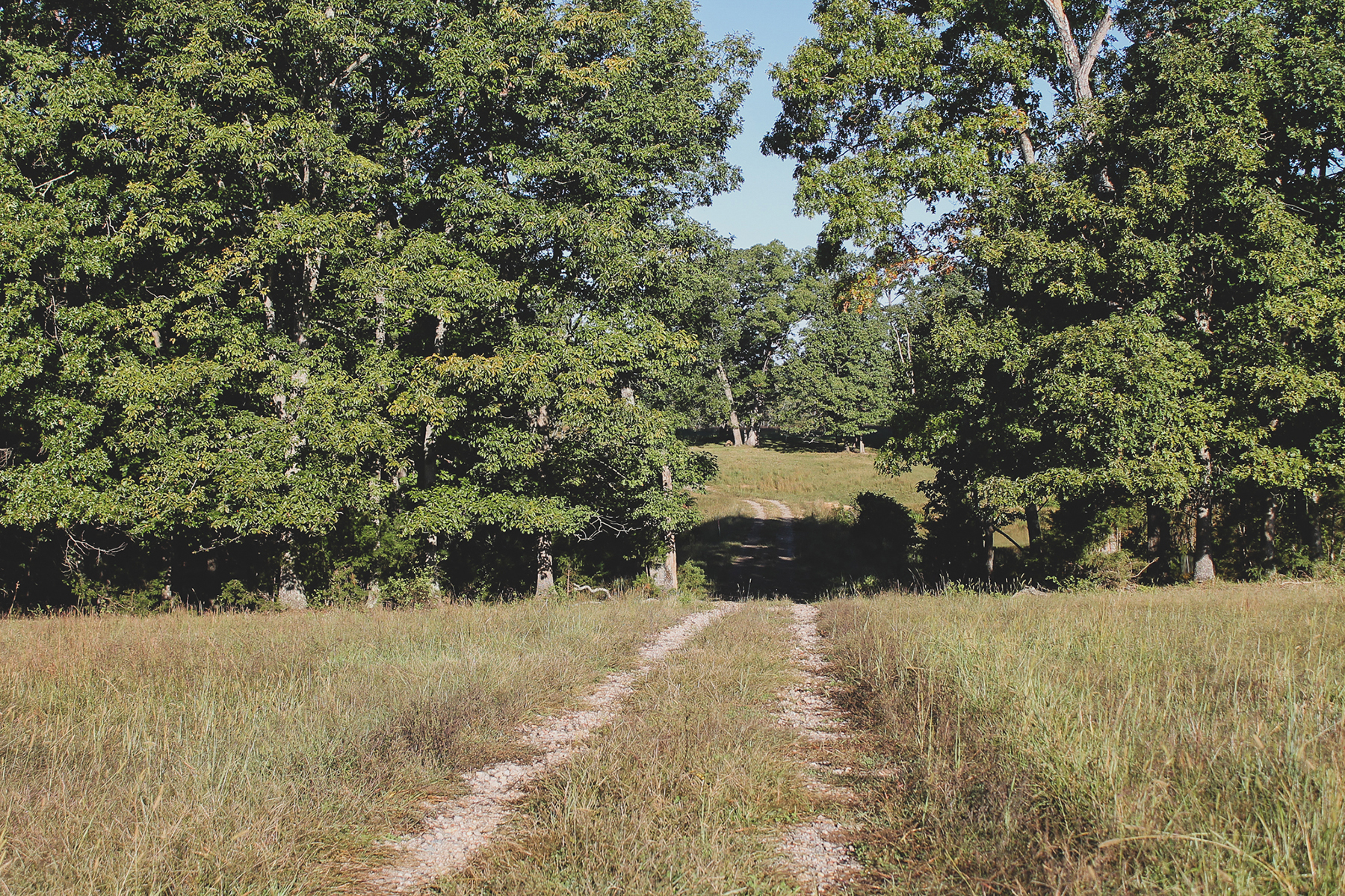 Oakwater Farm property picture 37 of 41