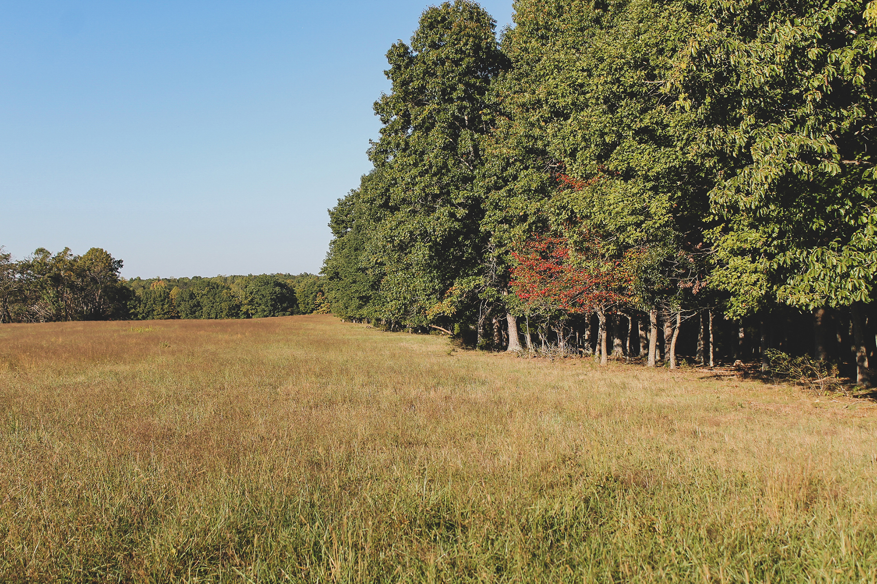 Oakwater Farm property picture 40 of 41