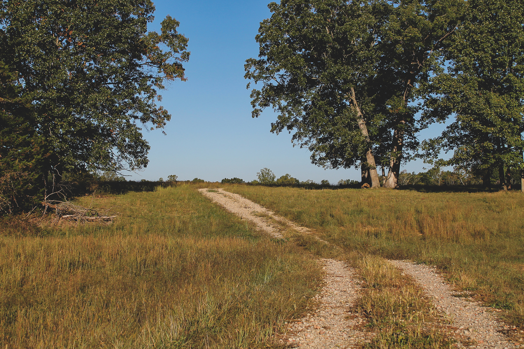 Oakwater Farm property picture 30 of 41