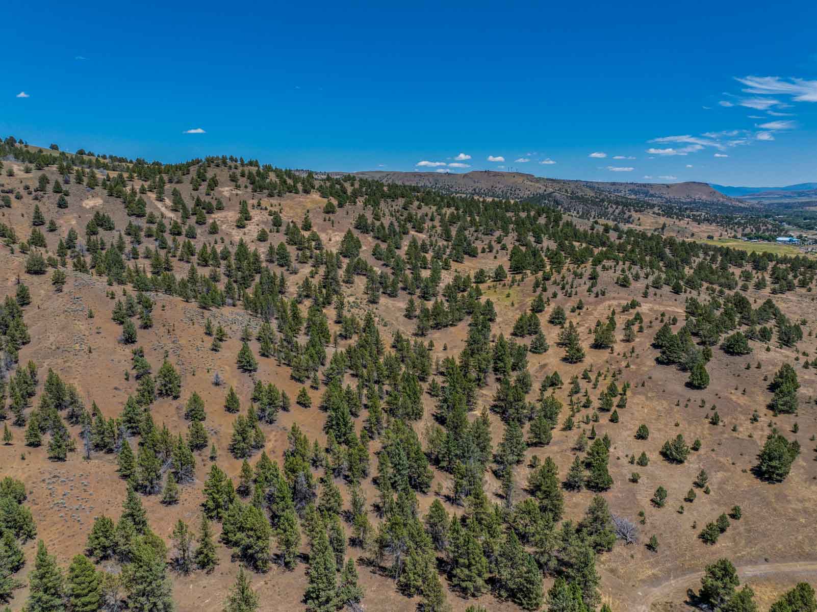 Little Beech Creek South property picture 24 of 33