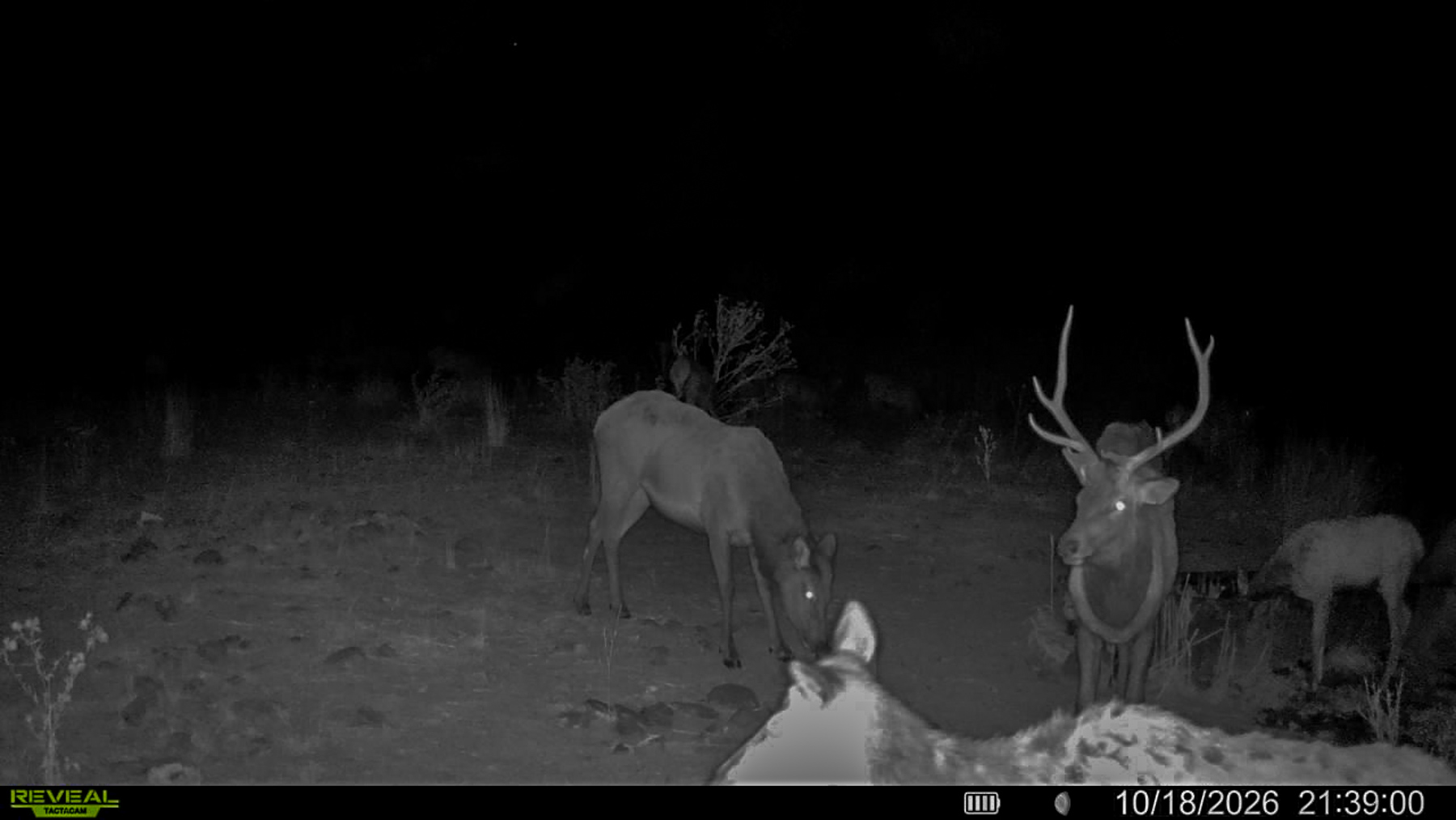 Little Beech Creek South property picture 21 of 33