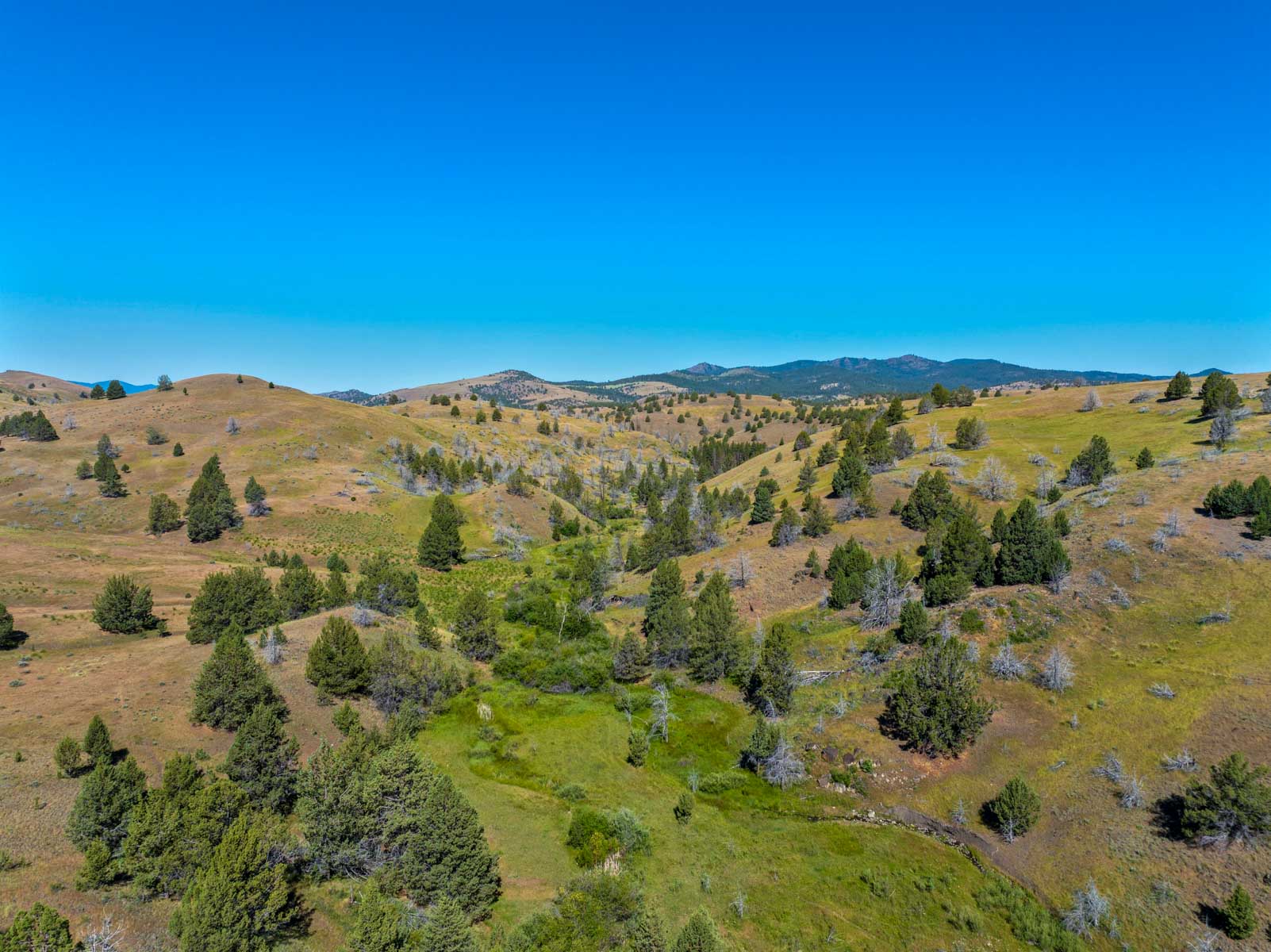Little Beech Creek South property picture 4 of 33