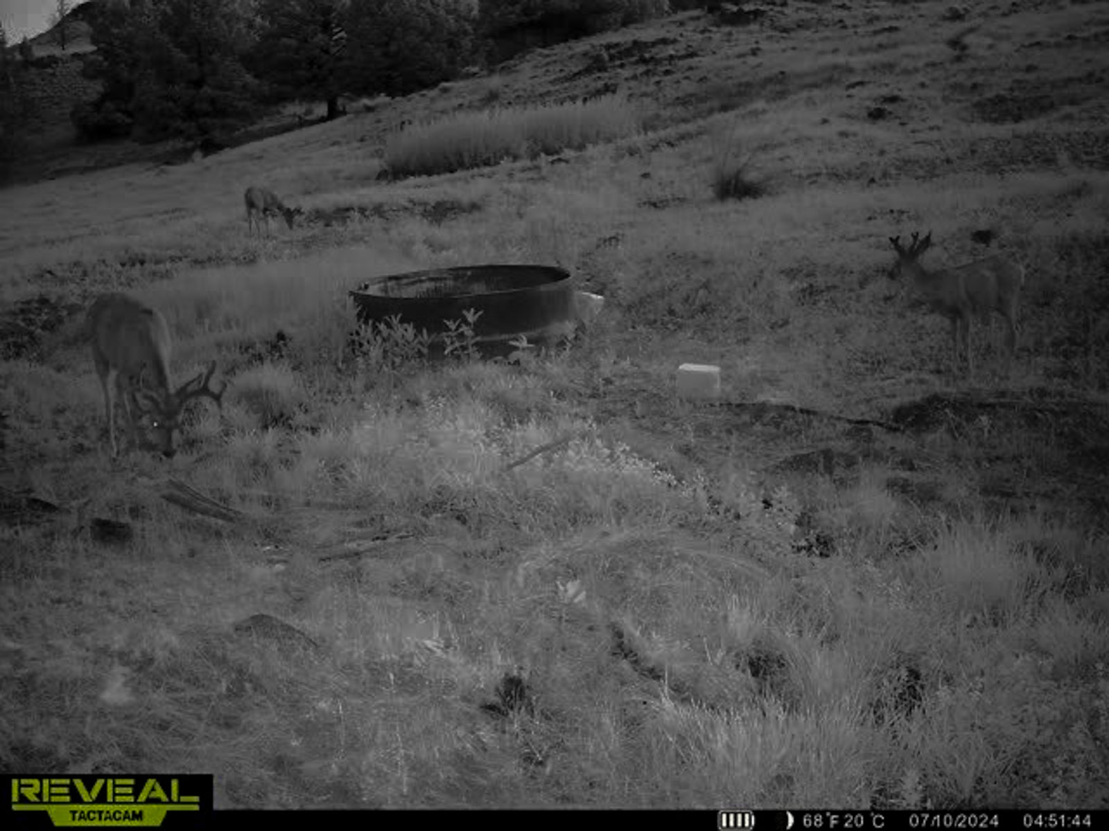 Little Beech Creek South property picture 19 of 33
