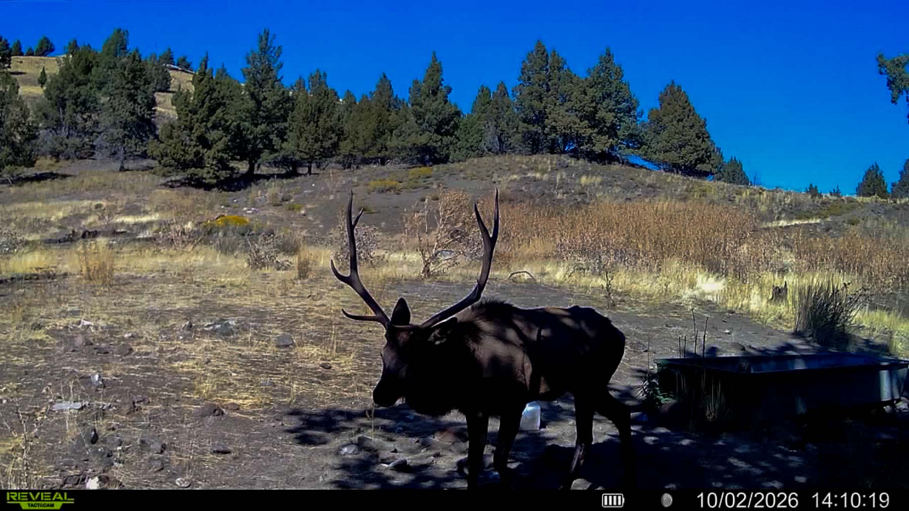 Little Beech Creek South property picture 13 of 33