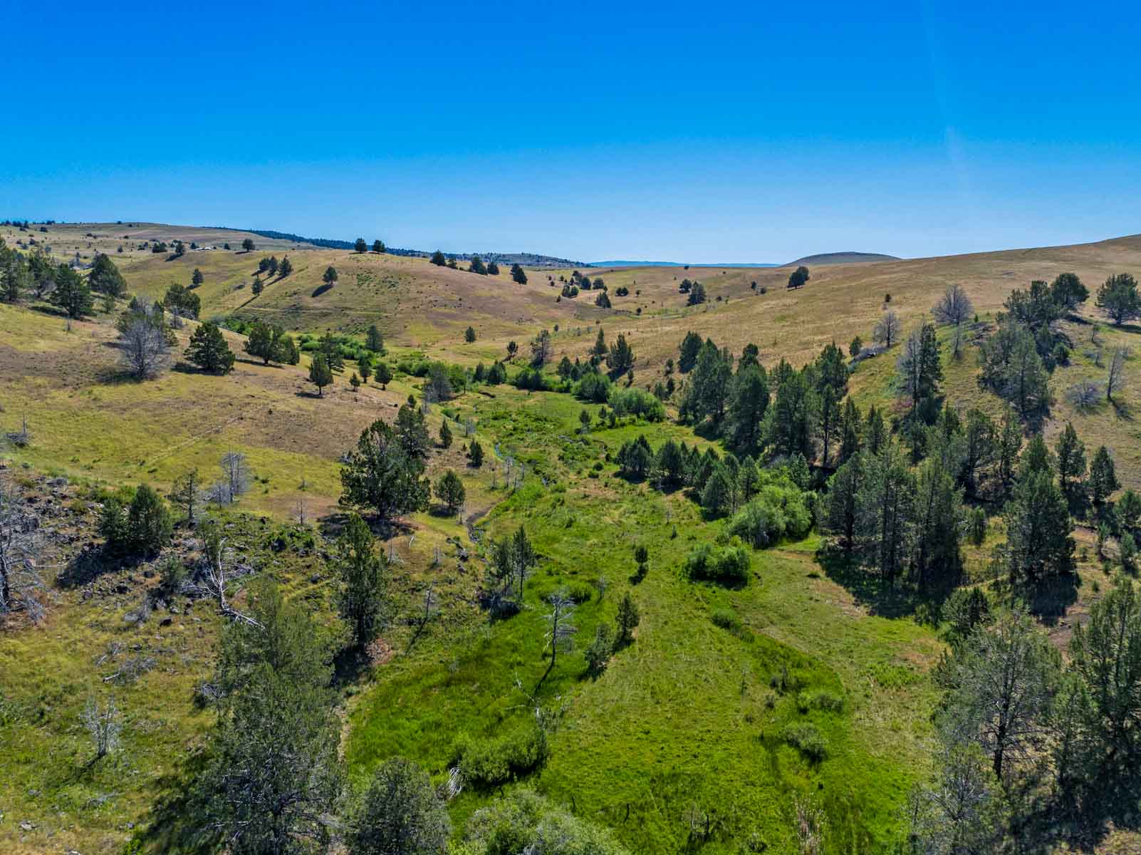Little Beech Creek South property picture 3 of 33