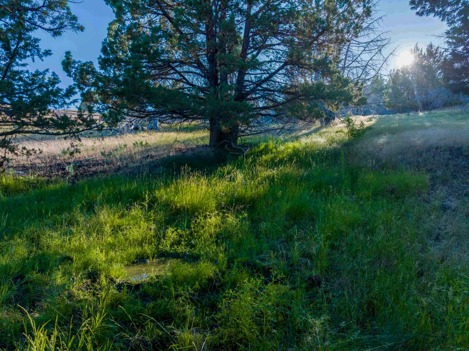 Little Beech Creek South property picture 6 of 33
