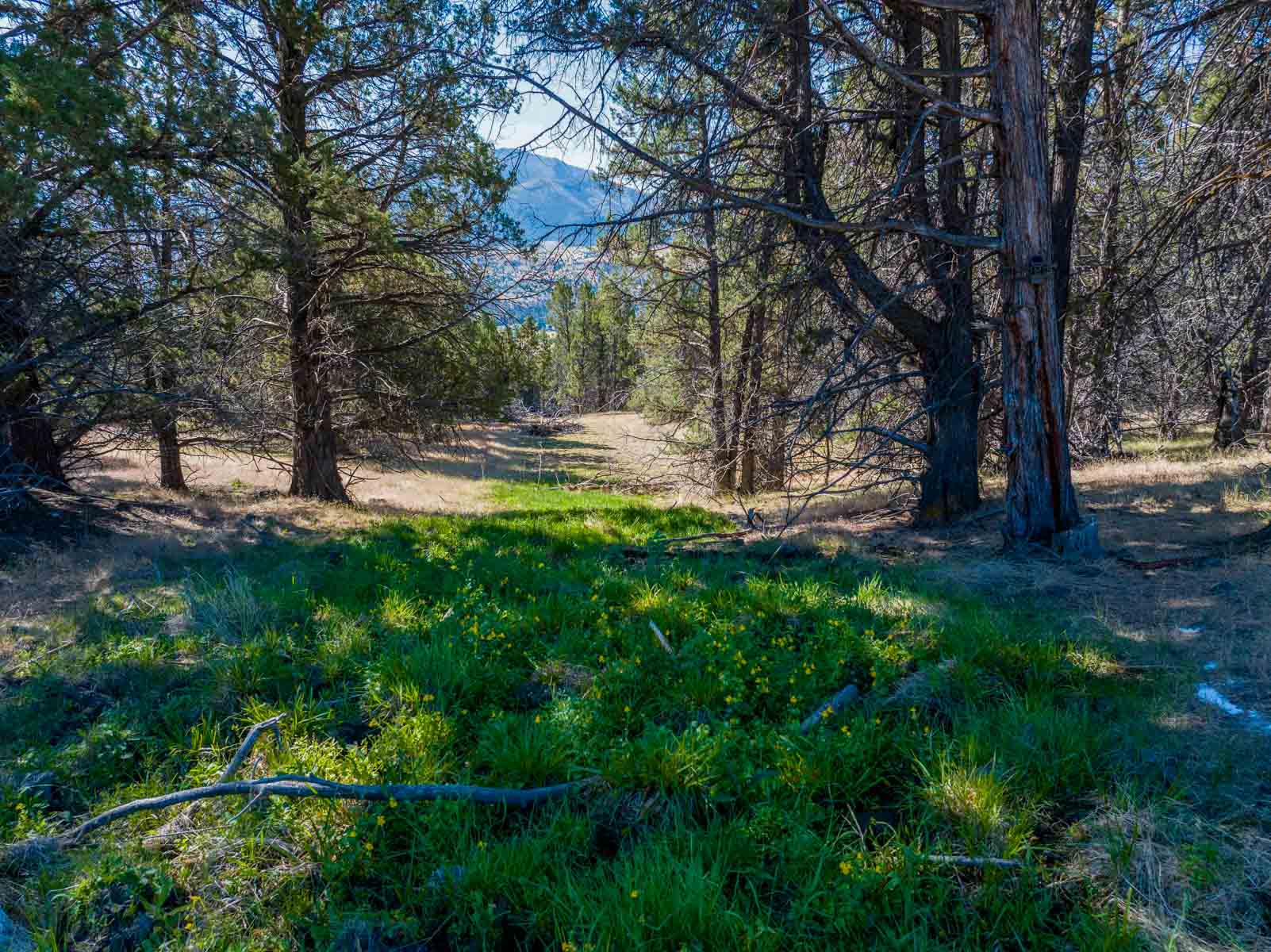 Little Beech Creek South property picture 7 of 33
