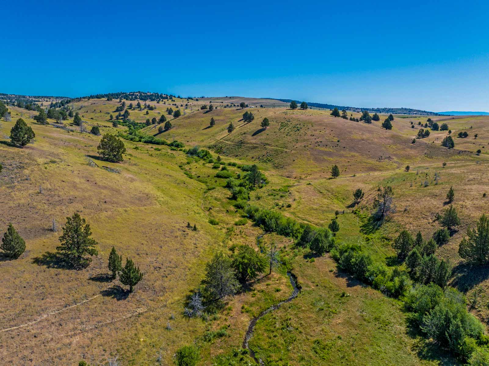Little Beech Creek South property picture 2 of 33