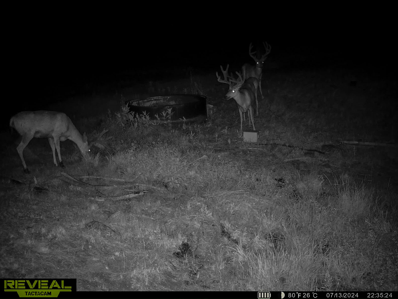 Little Beech Creek South property picture 20 of 33