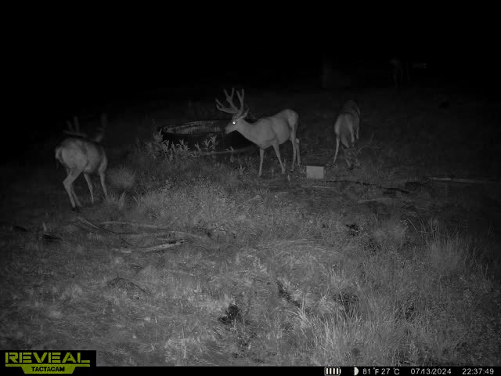 Little Beech Creek South property picture 18 of 33