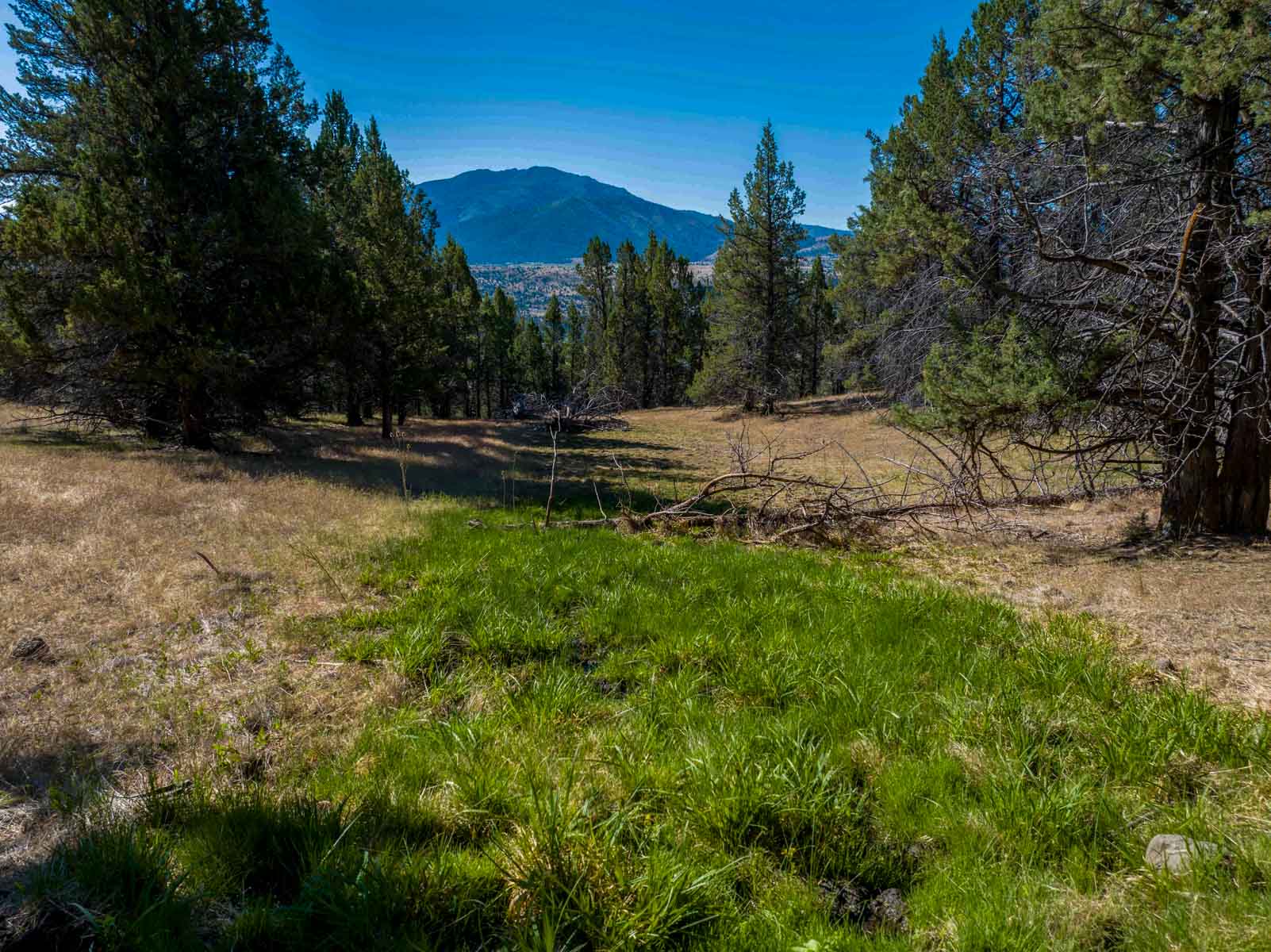 Little Beech Creek South property picture 8 of 33
