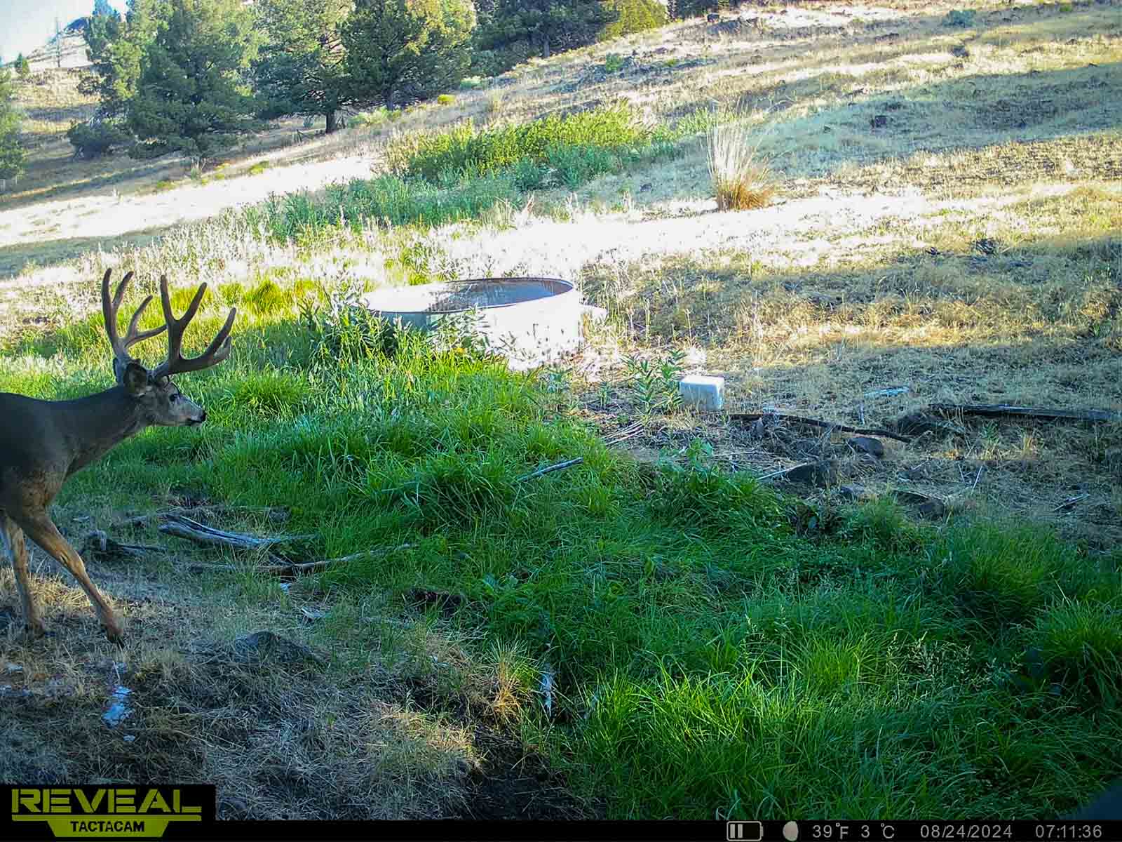 Little Beech Creek South property picture 11 of 33
