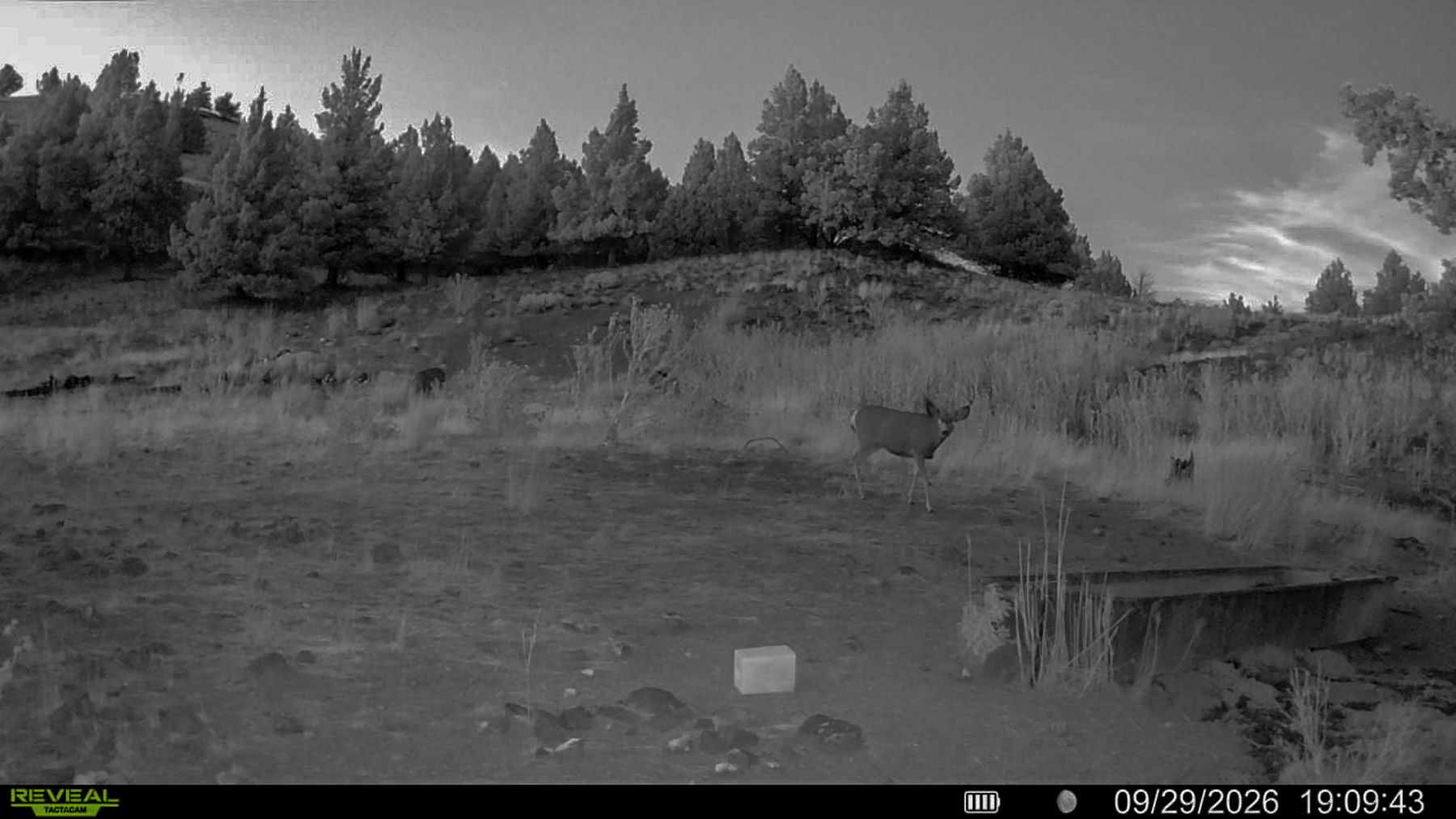 Little Beech Creek South property picture 22 of 33