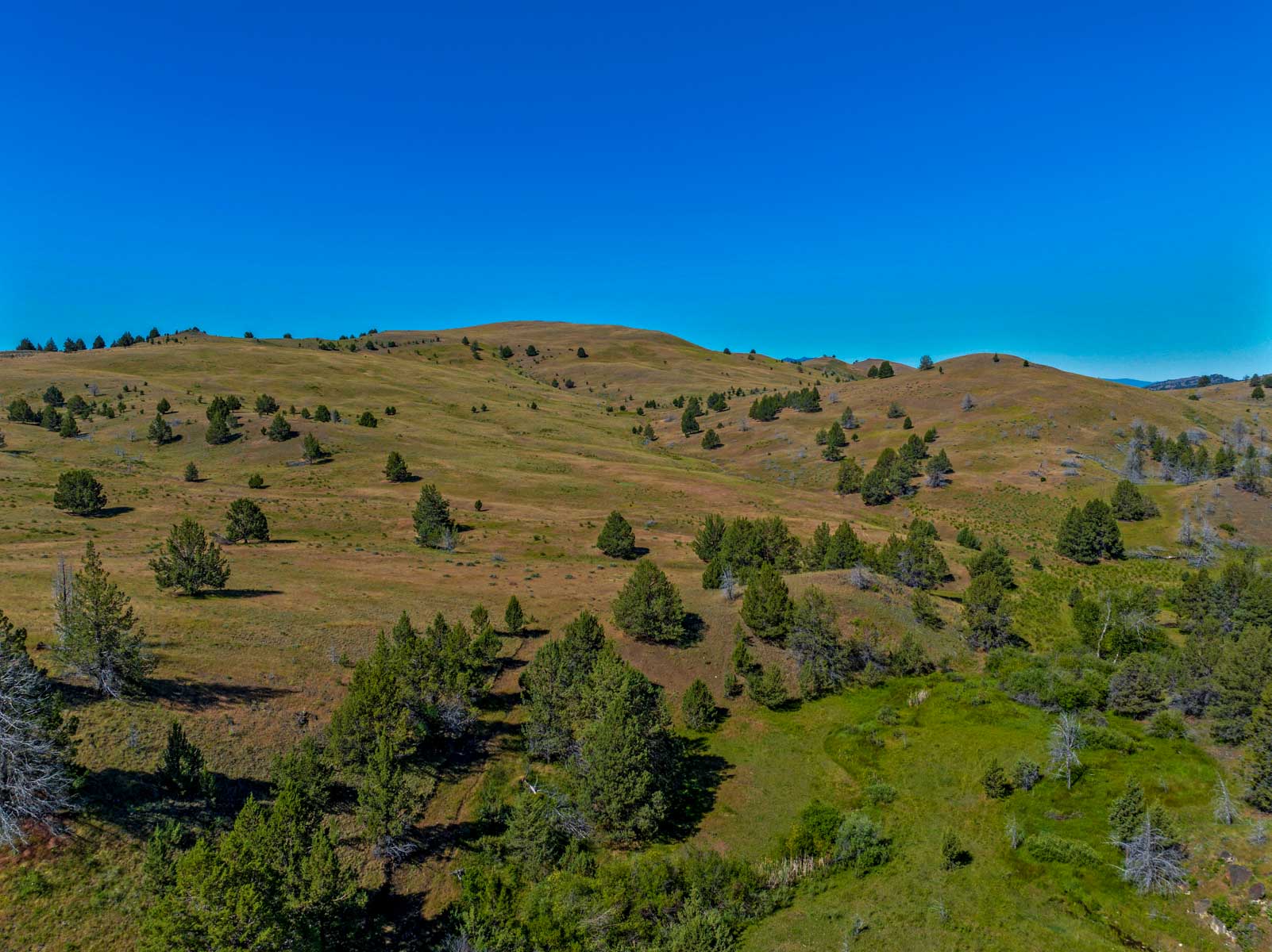 Little Beech Creek South property picture 5 of 33