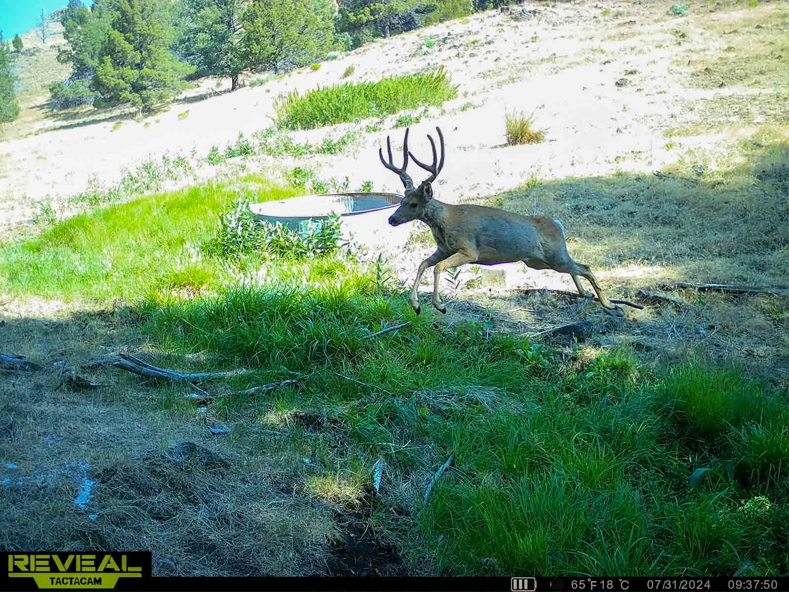 Little Beech Creek South property picture 10 of 33