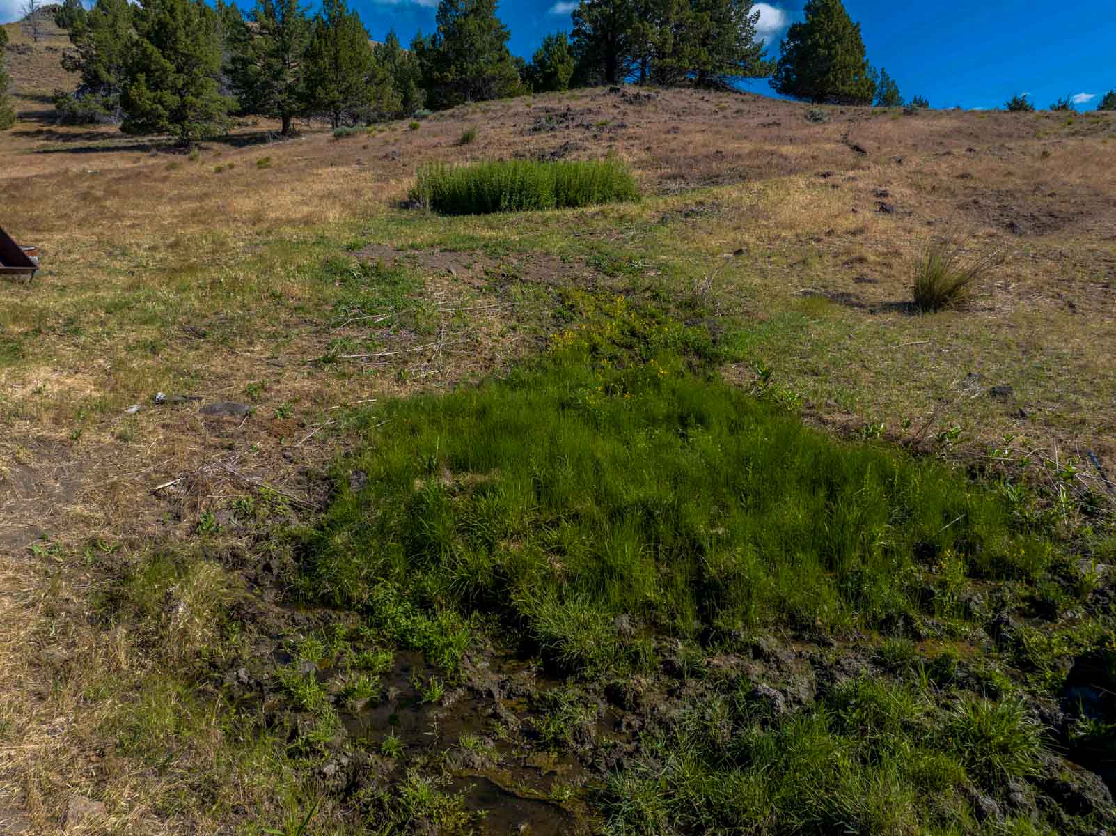 Little Beech Creek South property picture 9 of 33