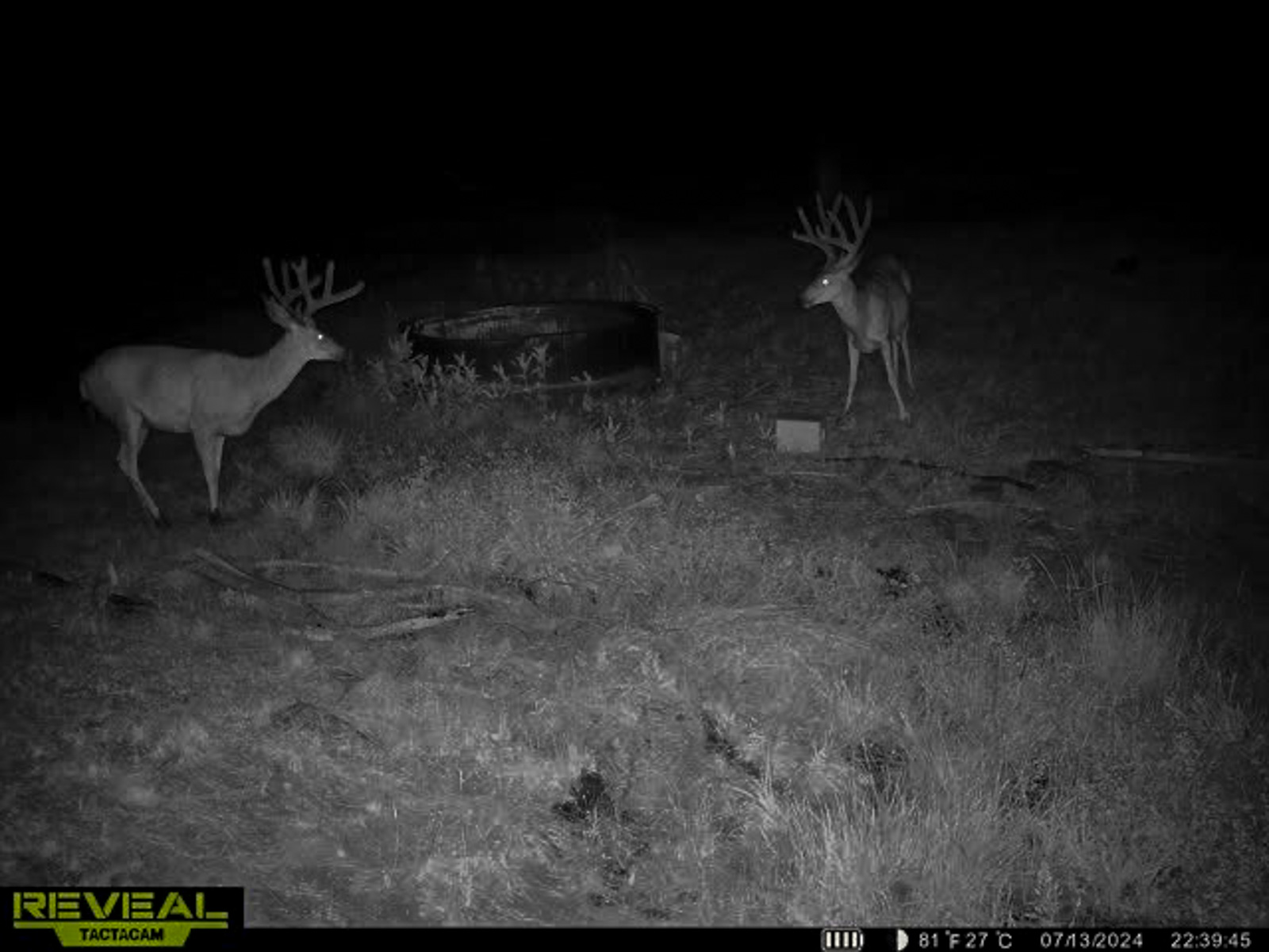 Little Beech Creek South property picture 17 of 33