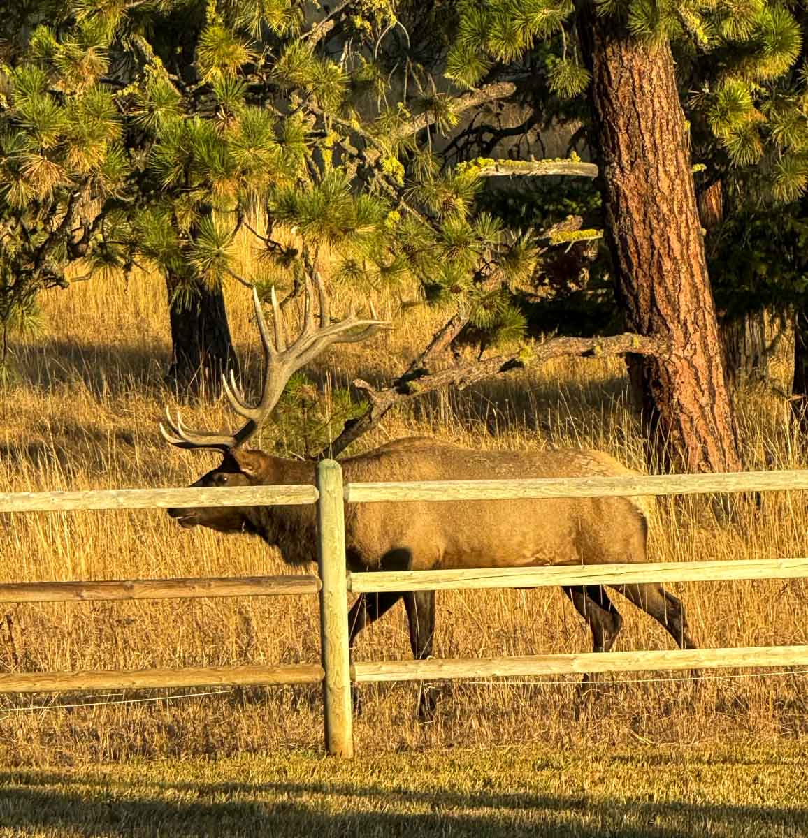 Mill Road Ranch property picture 10 of 62