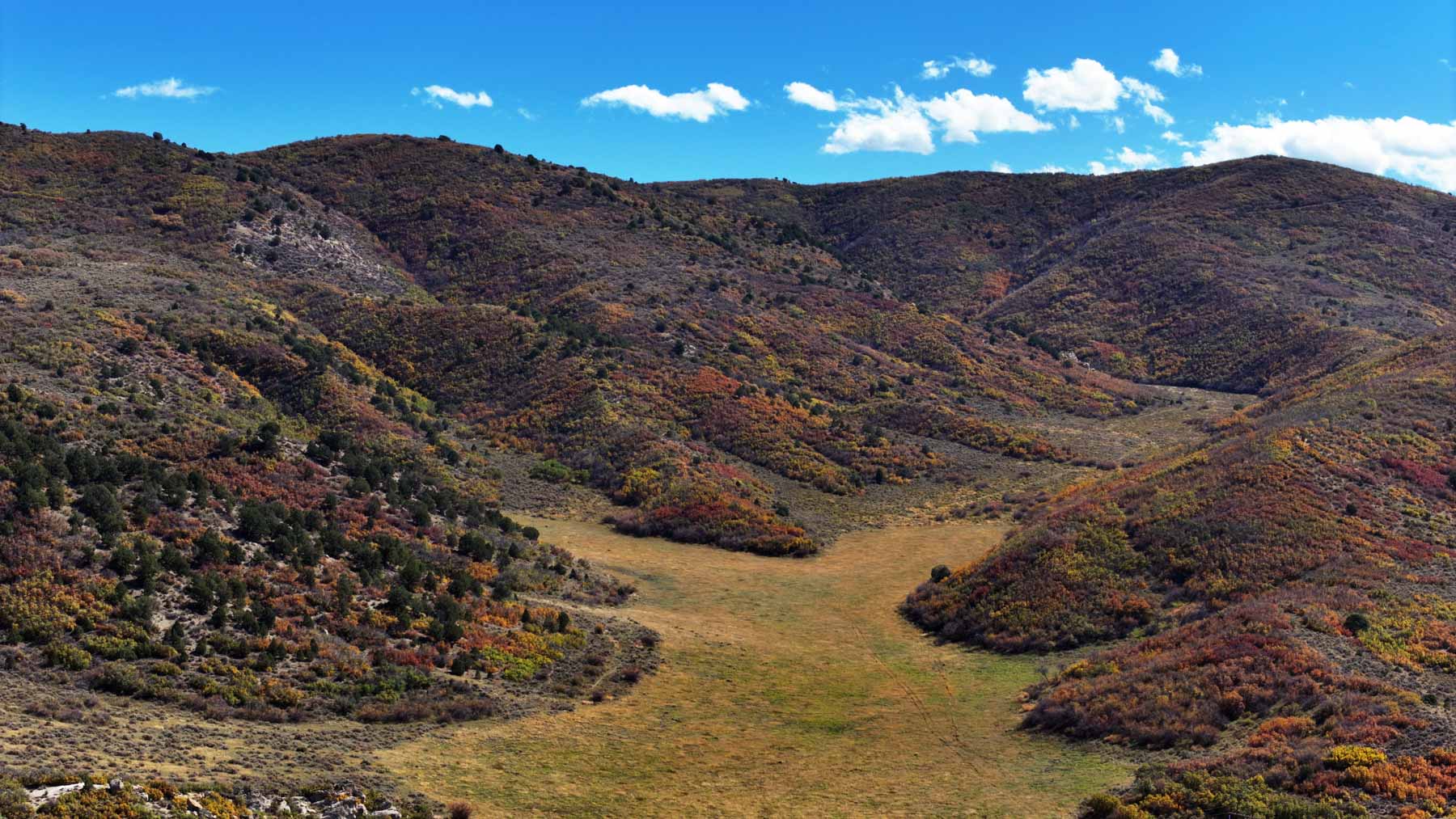 Hogback Hunting Ranch property picture 45 of 87