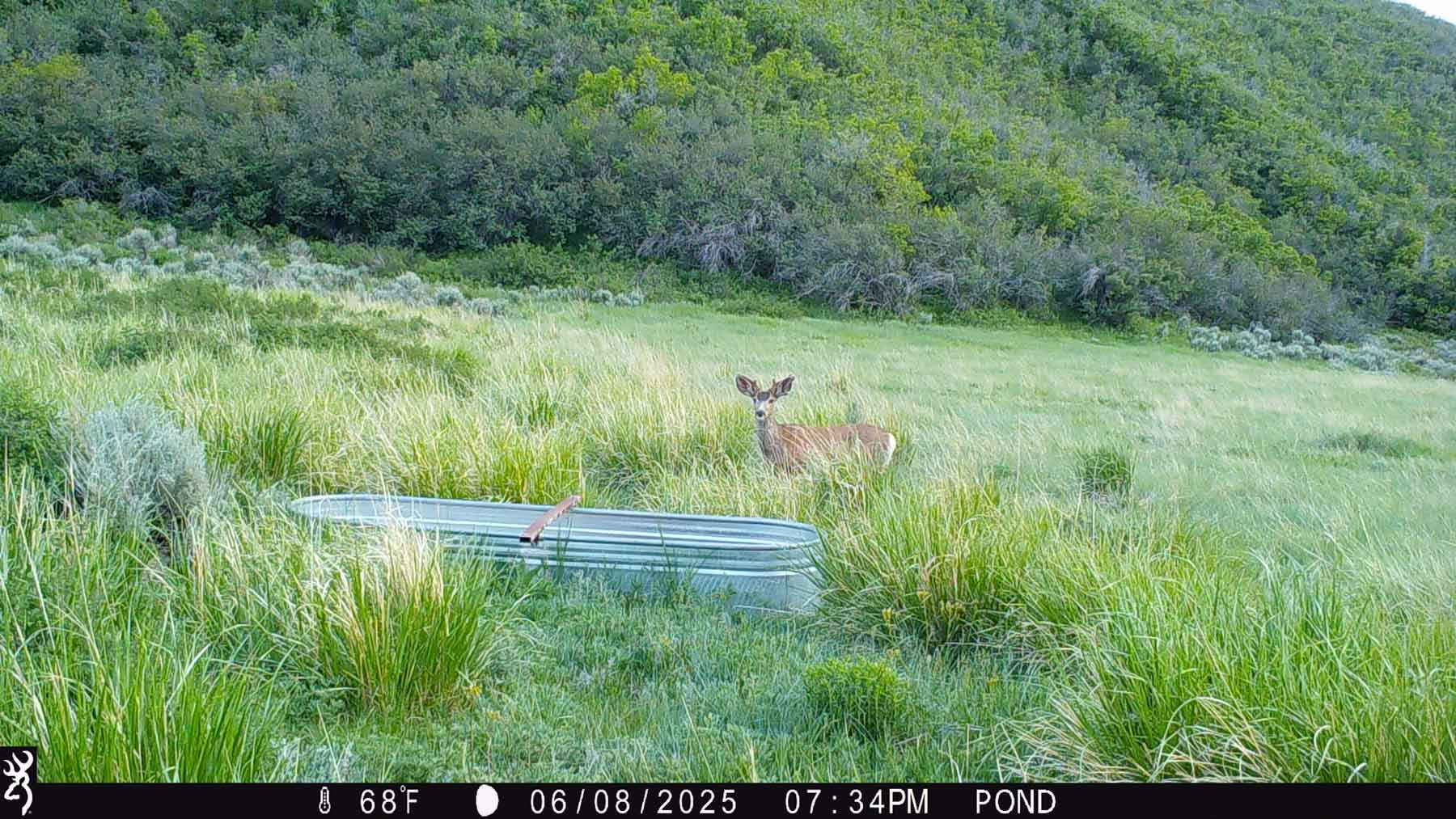 Hogback Hunting Ranch property picture 61 of 87