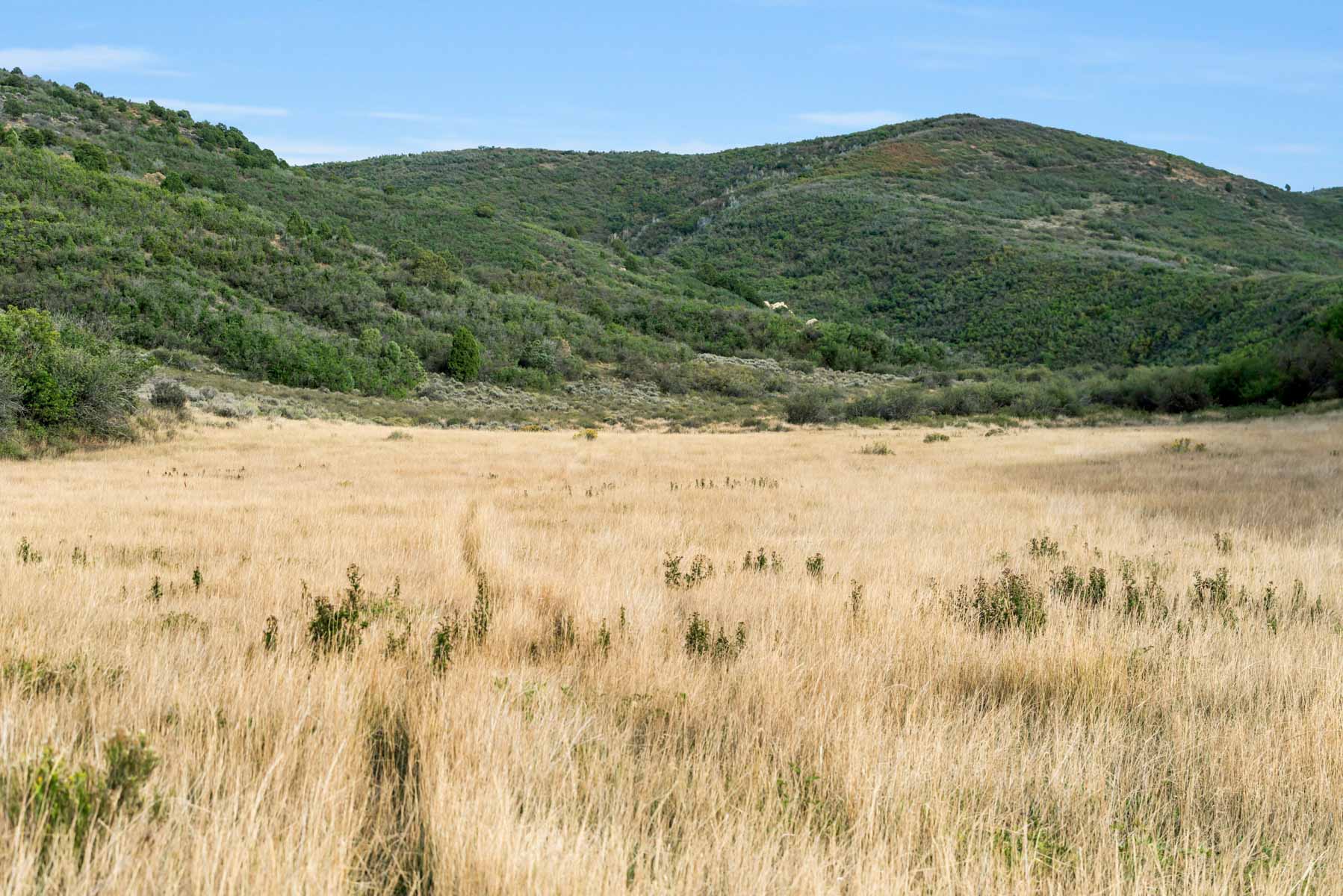 Hogback Hunting Ranch property picture 85 of 87