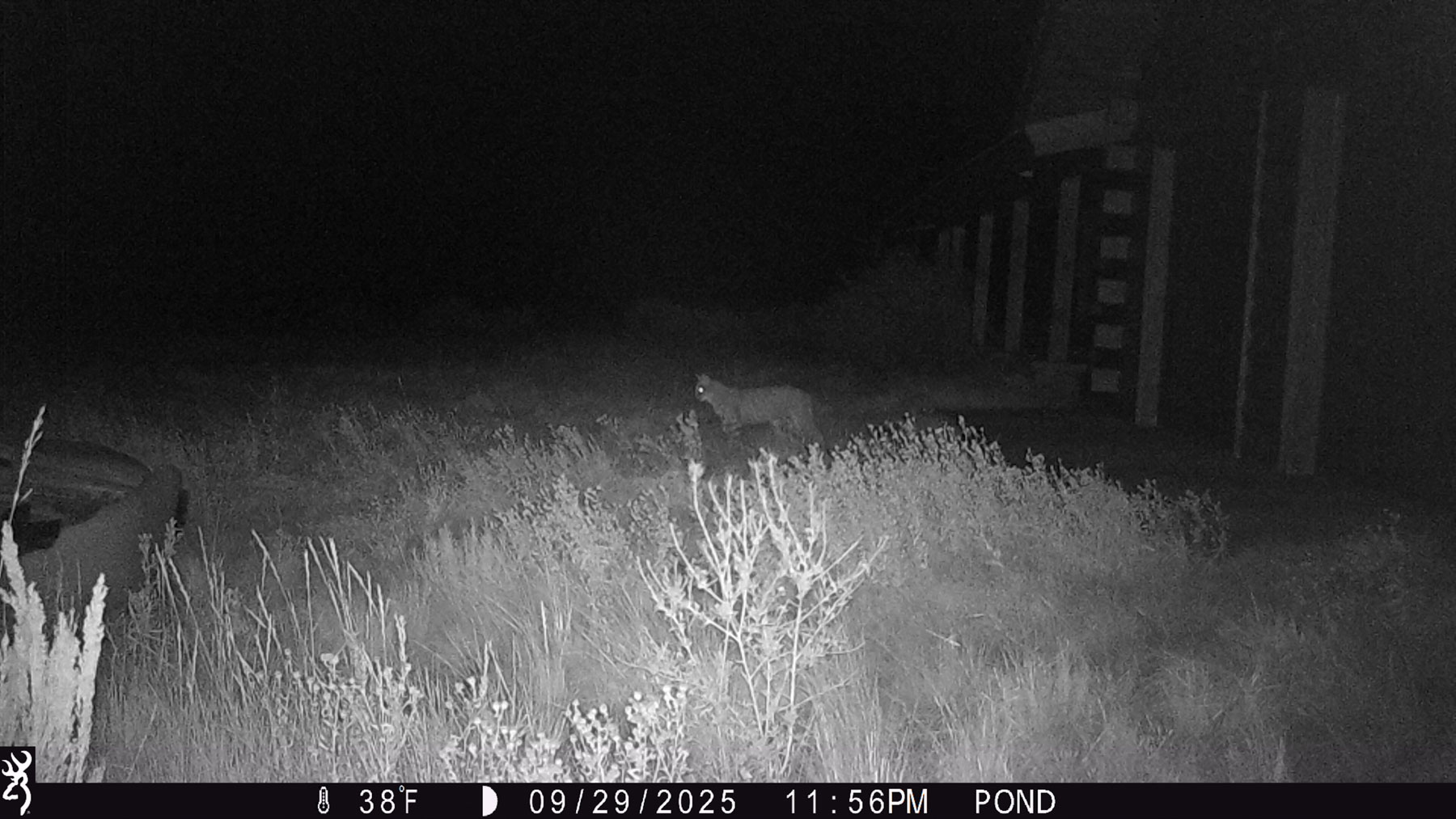 Hogback Hunting Ranch property picture 72 of 87