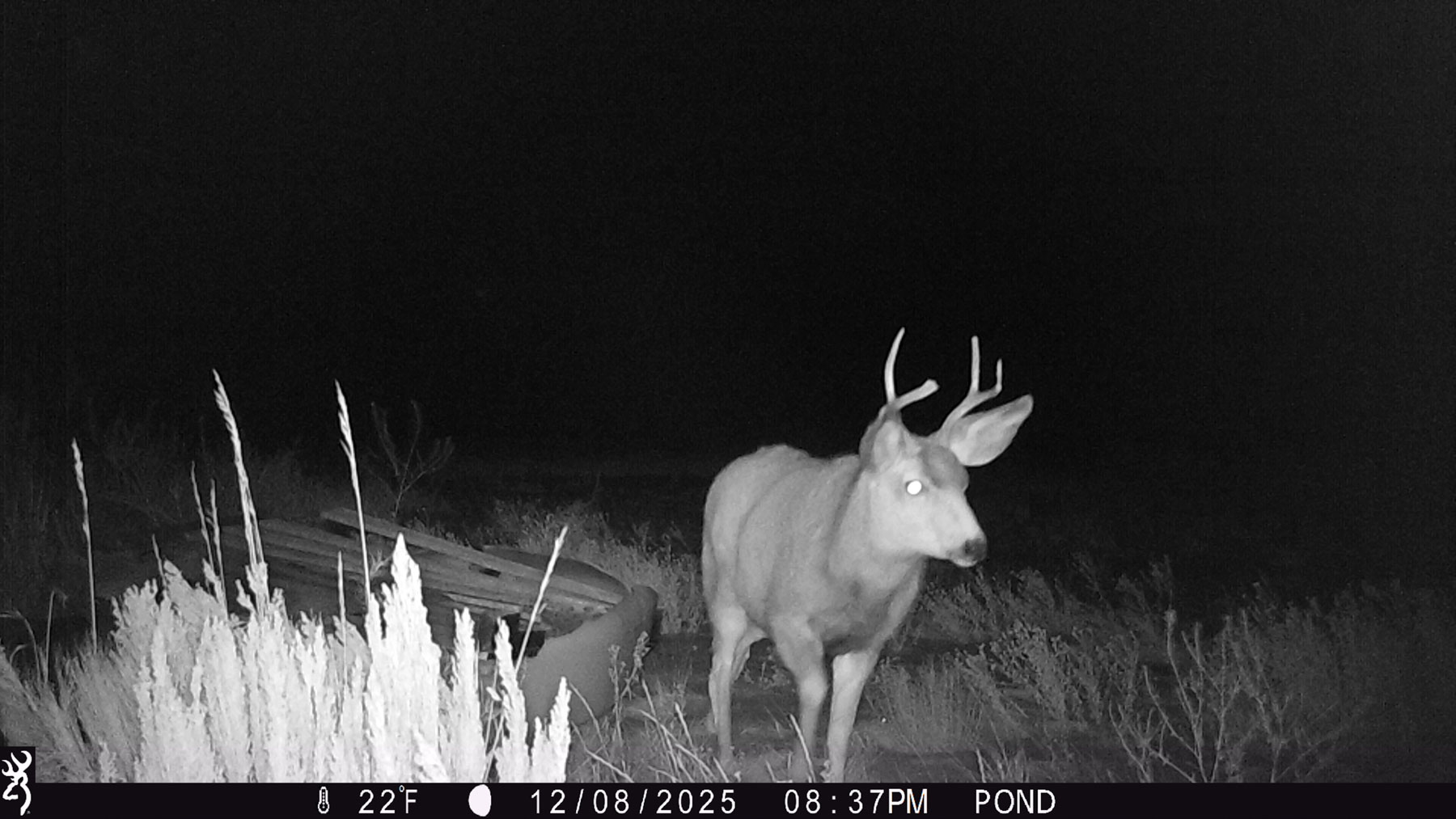 Hogback Hunting Ranch property picture 76 of 87