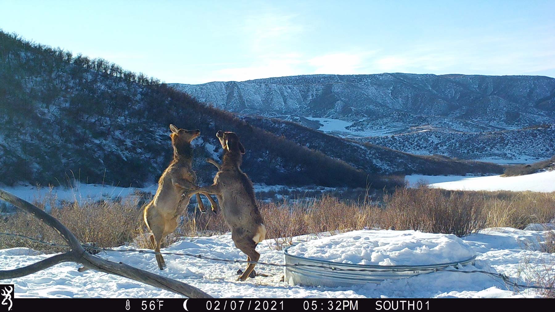 Hogback Hunting Ranch property picture 82 of 87