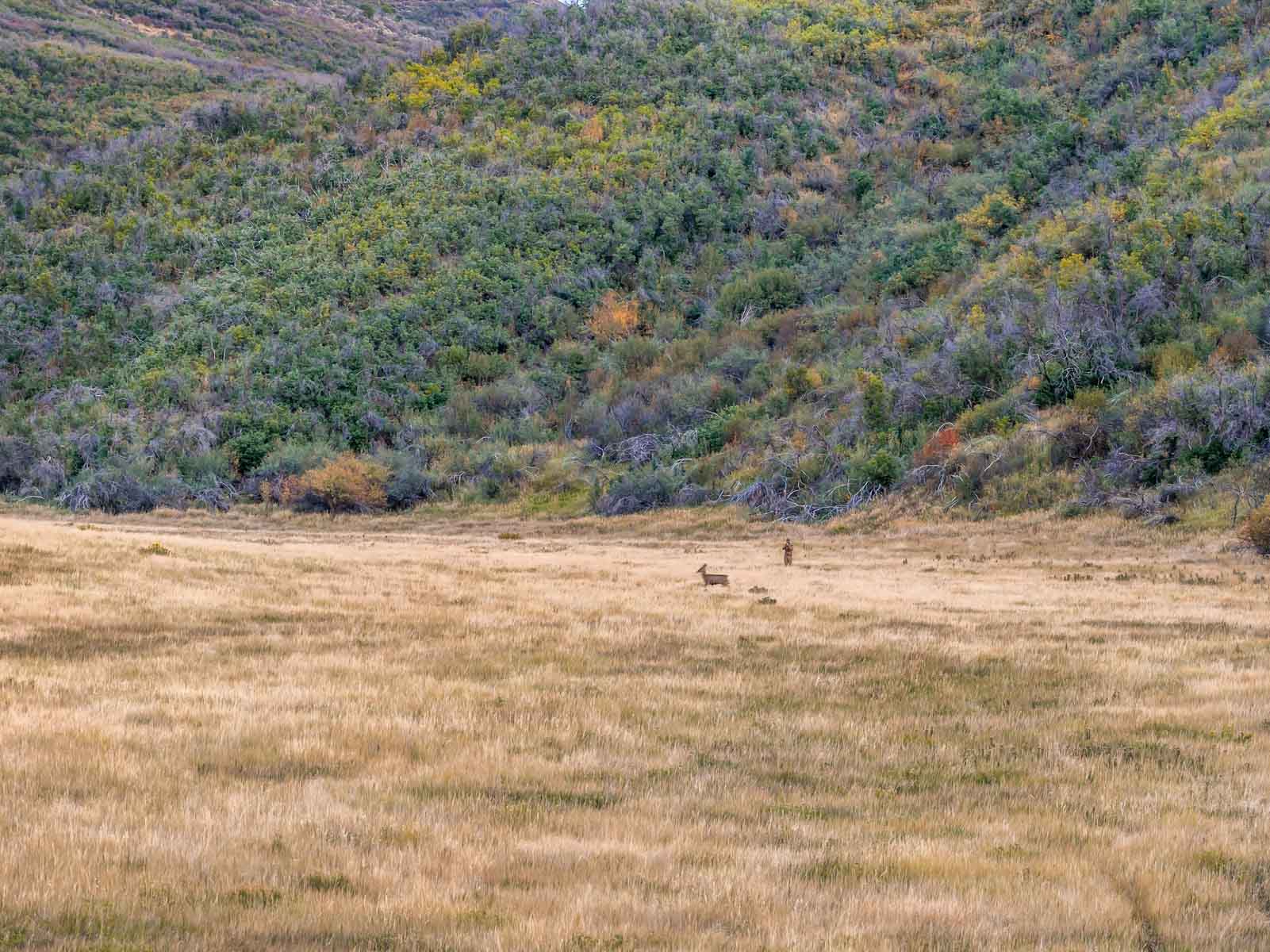 Hogback Hunting Ranch property picture 67 of 87