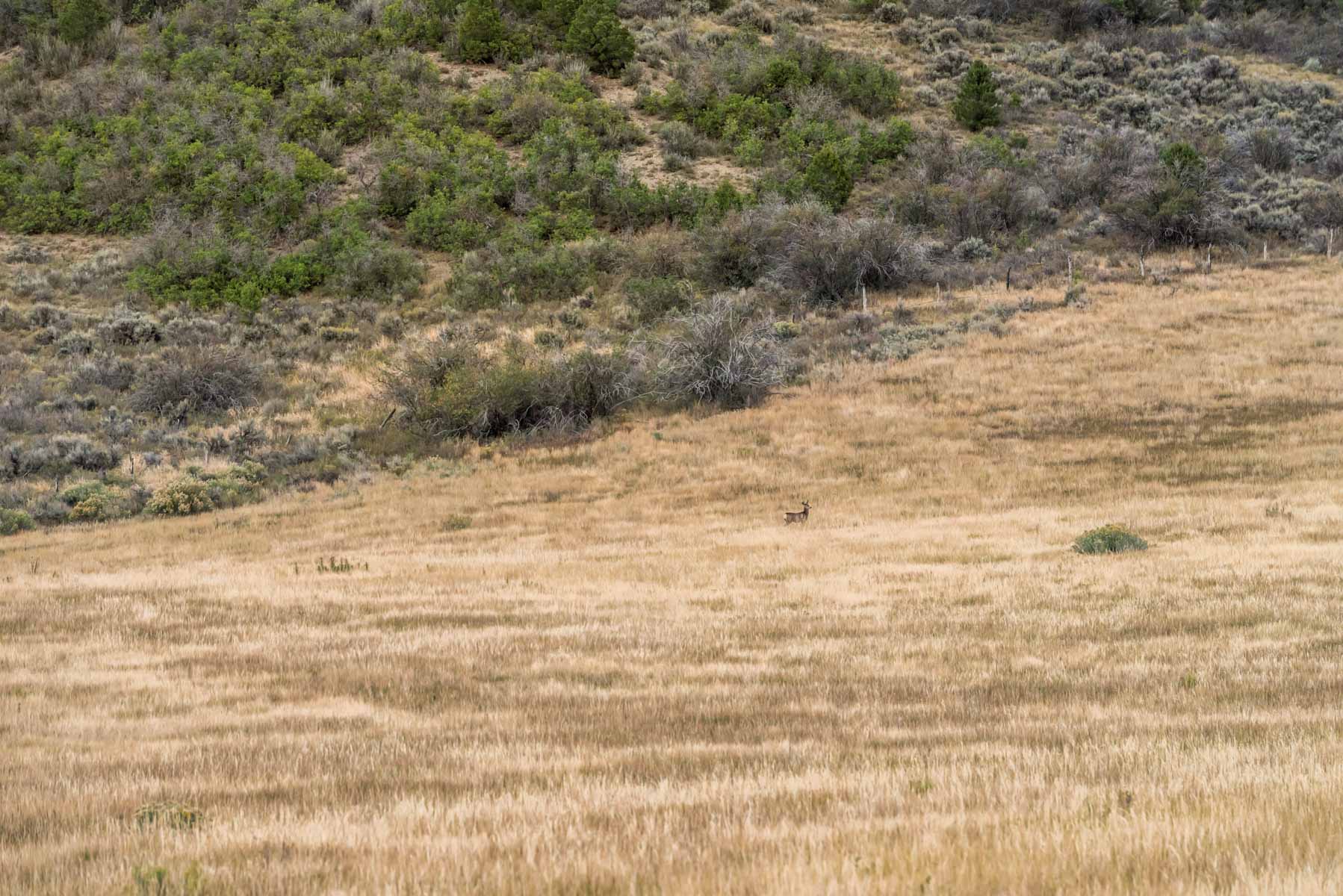 Hogback Hunting Ranch property picture 87 of 87