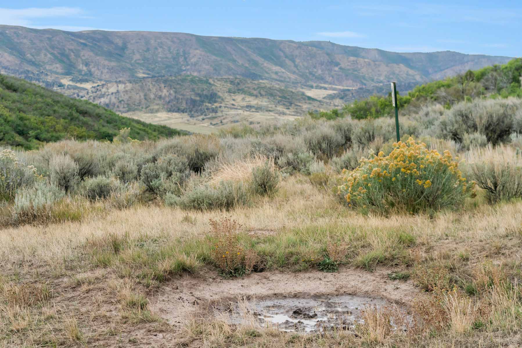 Hogback Hunting Ranch property picture 41 of 87