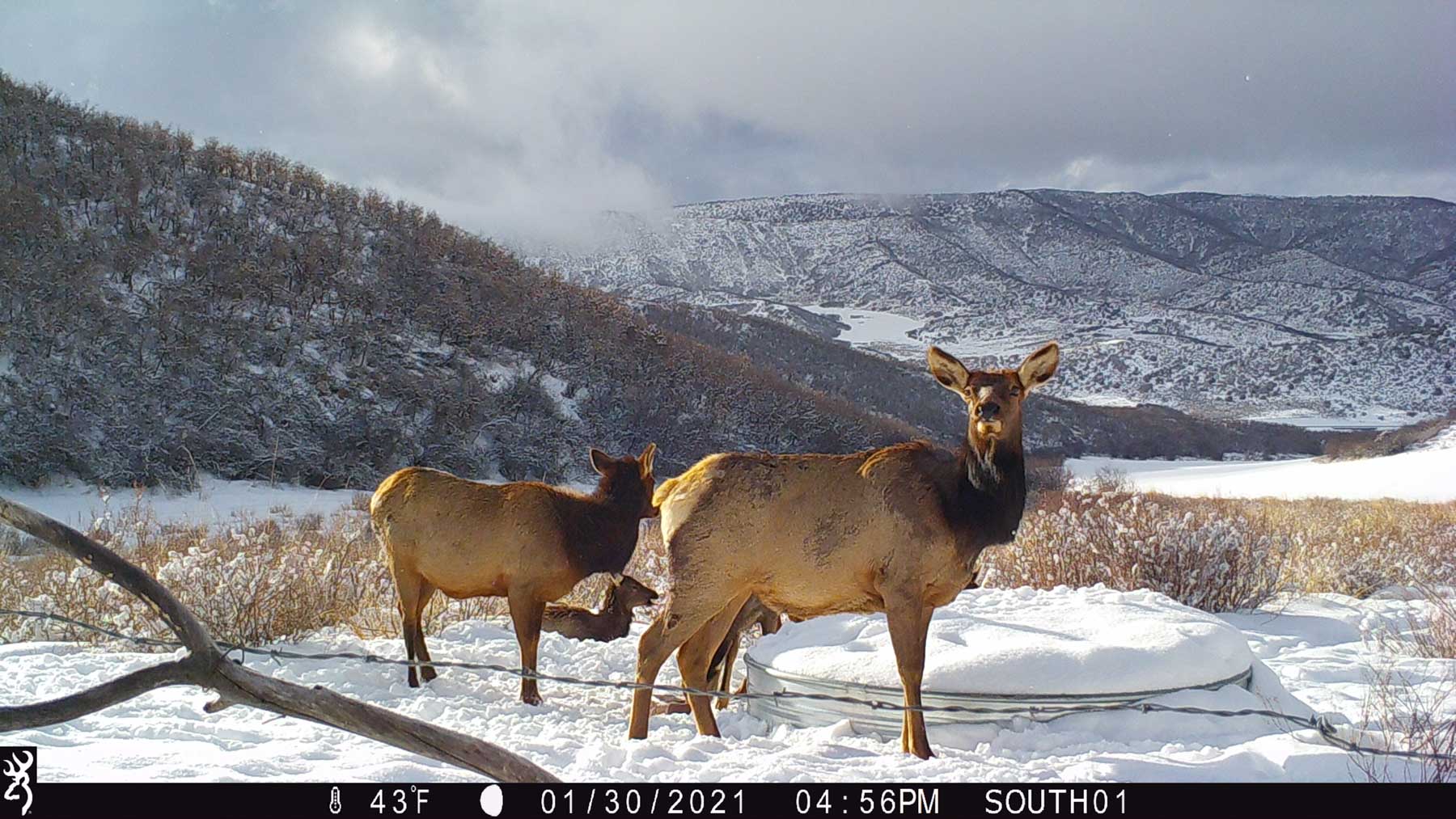 Hogback Hunting Ranch property picture 79 of 87