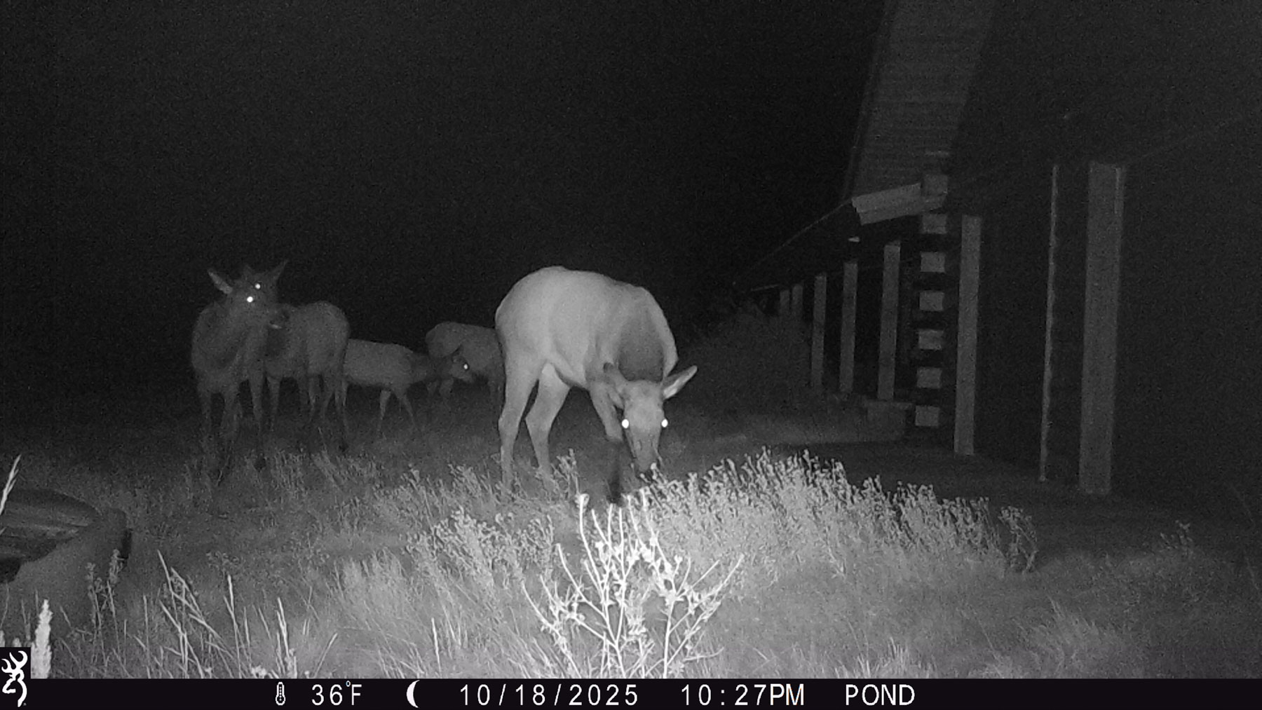 Hogback Hunting Ranch property picture 70 of 87