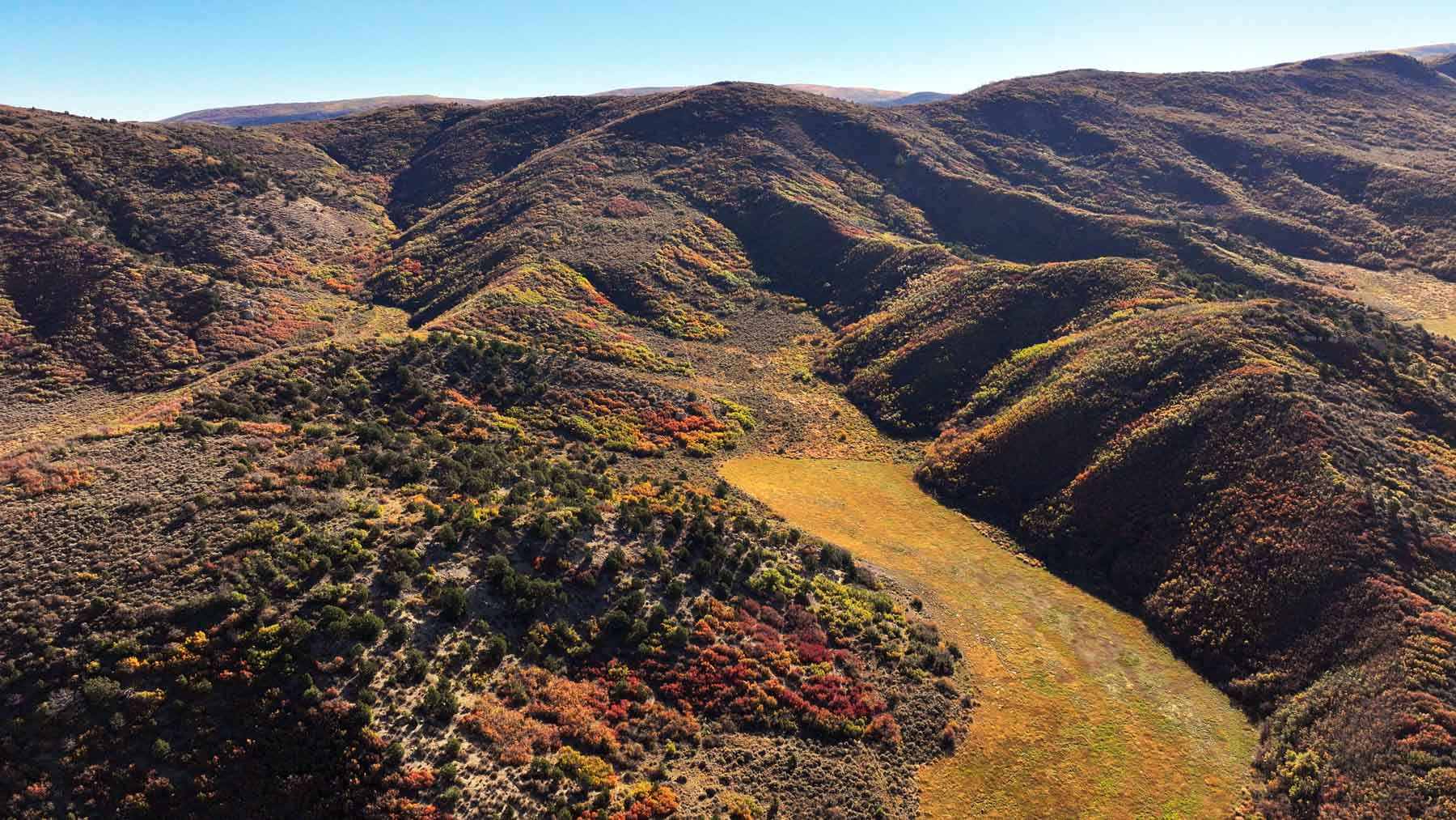 Hogback Hunting Ranch property picture 19 of 87