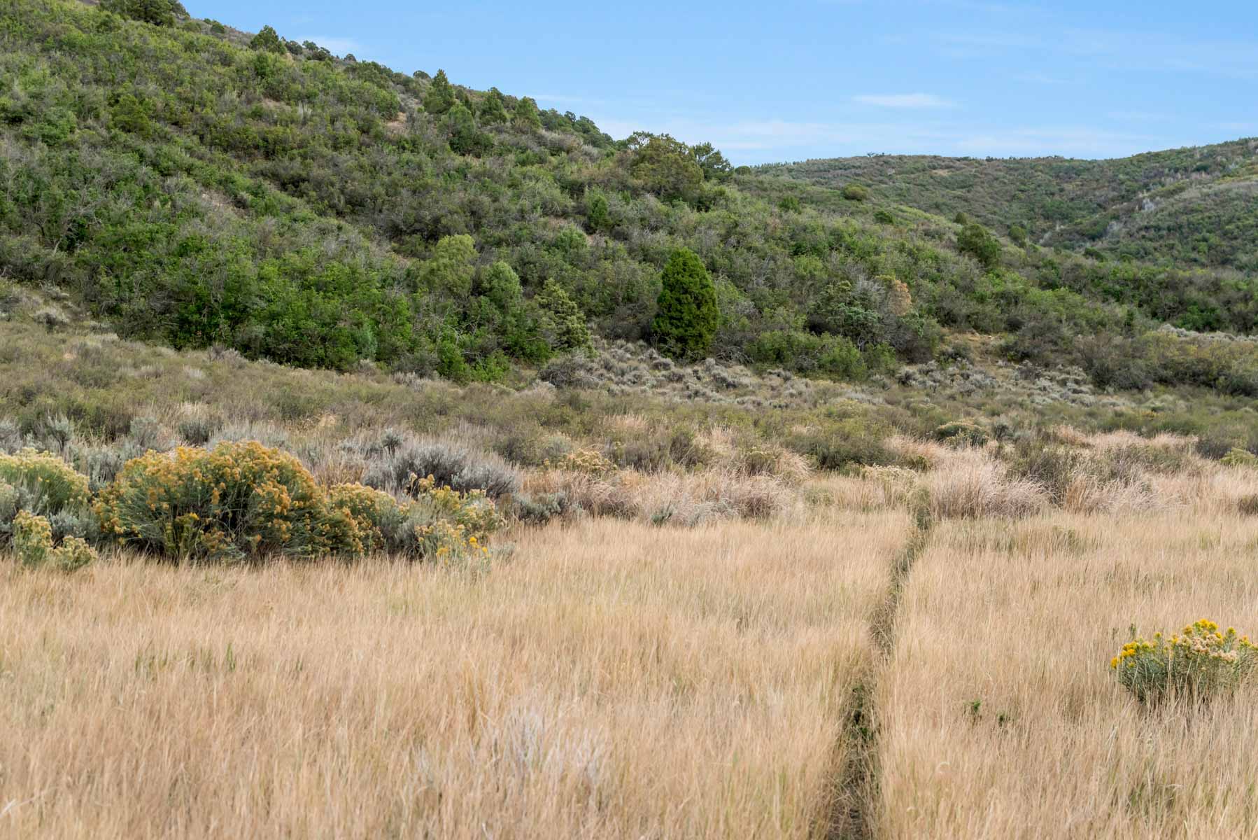 Hogback Hunting Ranch property picture 39 of 87