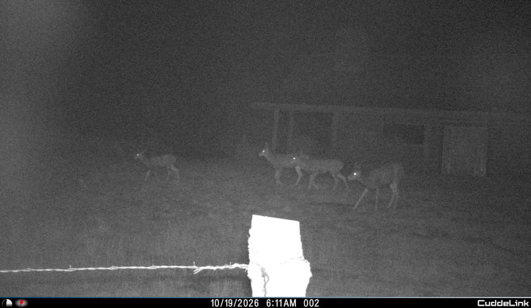 Hogback Hunting Ranch property picture 43 of 87