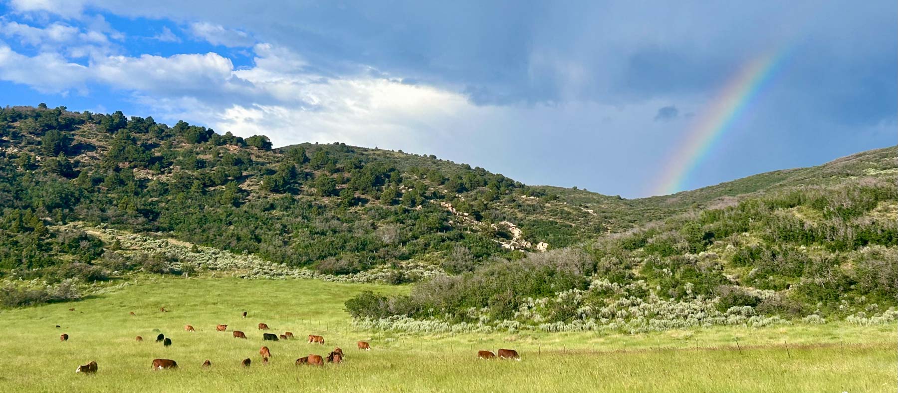 Hogback Hunting Ranch property picture 2 of 87