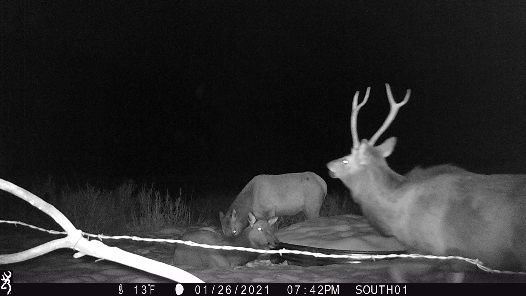 Hogback Hunting Ranch property picture 75 of 87